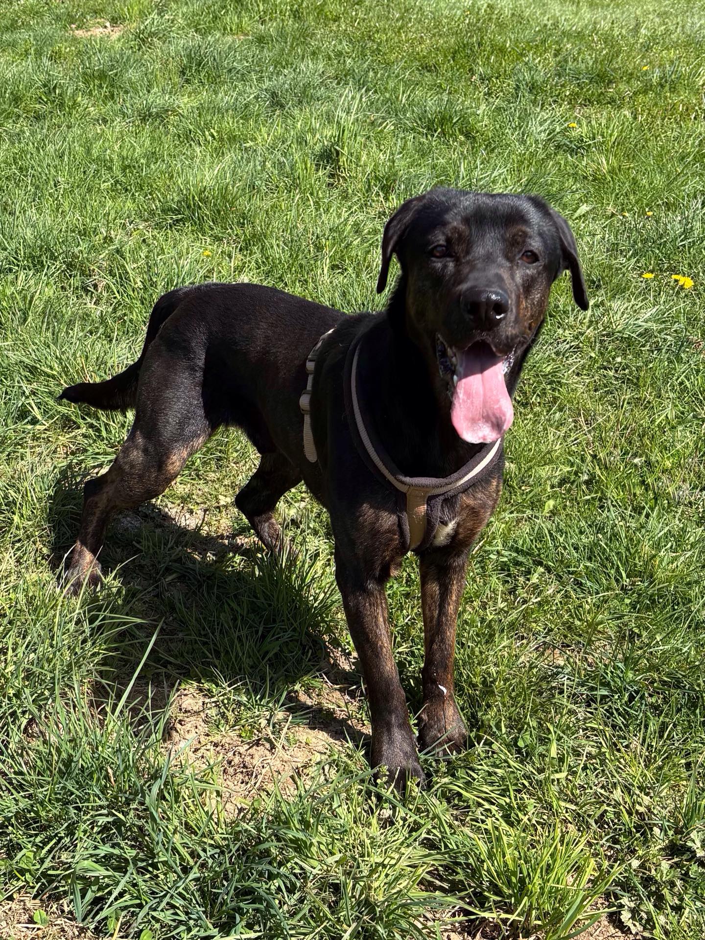 657745278 18406236913197615 487684446224916984 n