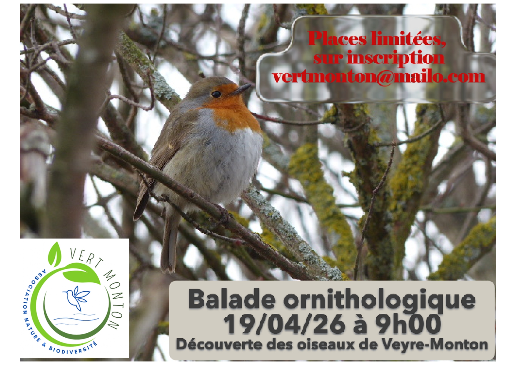 Flyer-sortie-ornitho-19-04-2026 page-0001