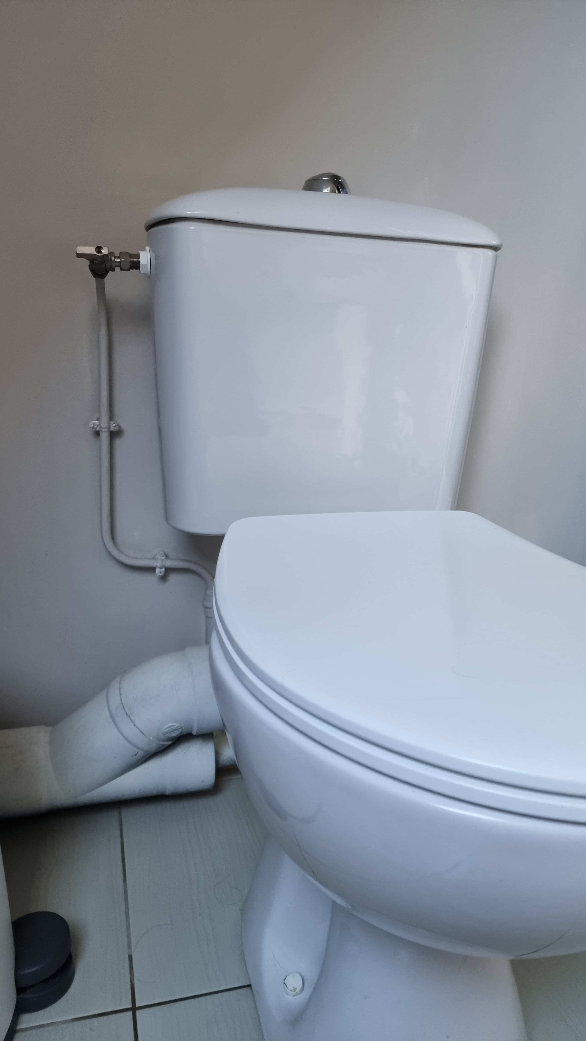 Remplacement de WC et de la pipe. 
FJP Plomberie
FJP Plomberie Evrecy
Evrecy, Verson, fontaine étoupefour, Gavrus, Esquay notre dame, Villers bocage, Mondeville, Carpiquet, Cheux, Mouen, Breteville sur odon, Breteville sur laize, Breteville l'orgueilleuse, Fontenay le pesnel, Tilly sur seulle, Sainte honorine du fay, Baron sur odon, Tourville sur odon, Caen, Venoix.