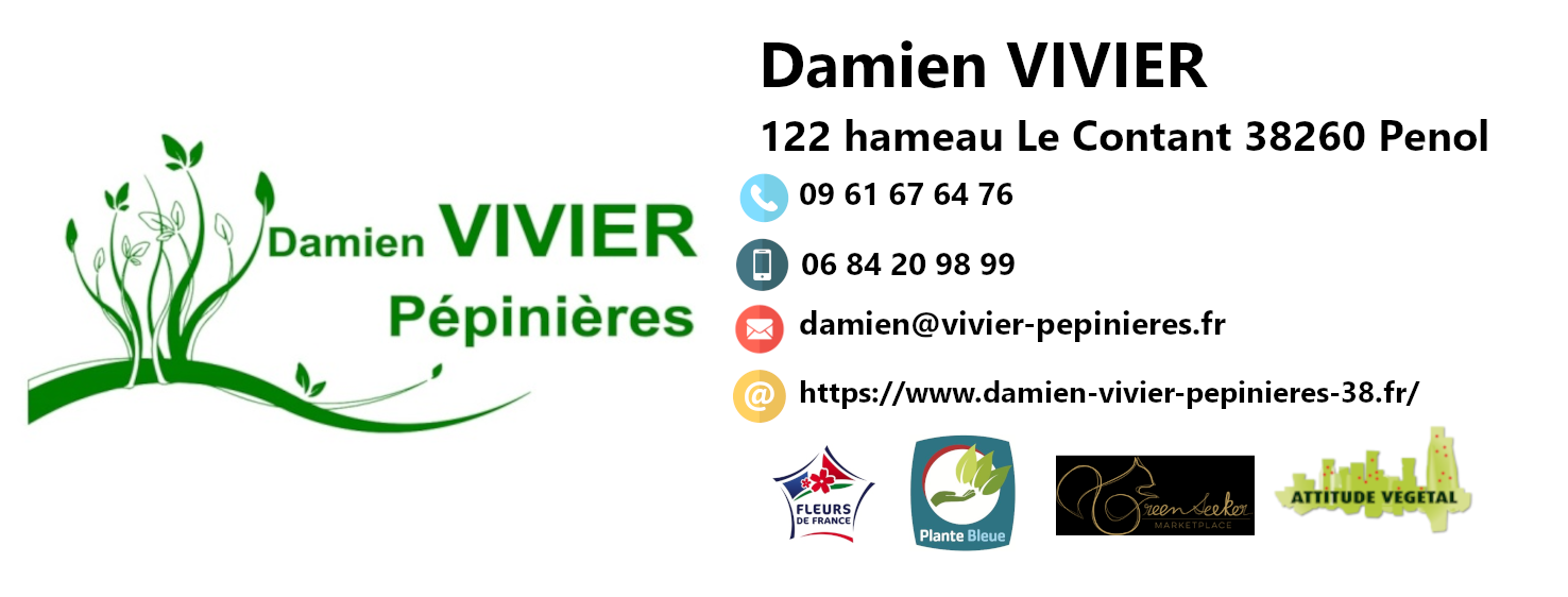 Signature-Damien-bis