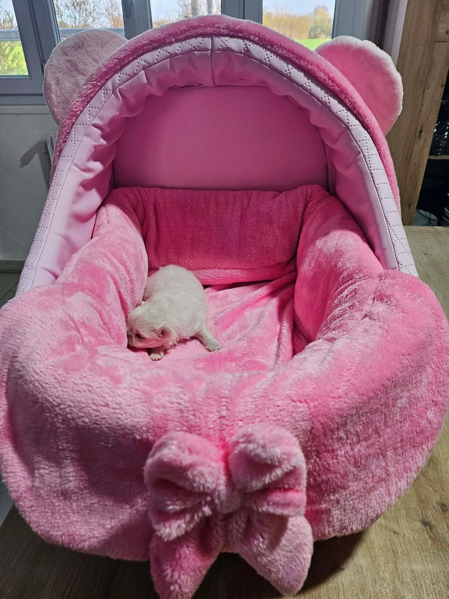 Received 980460054657208