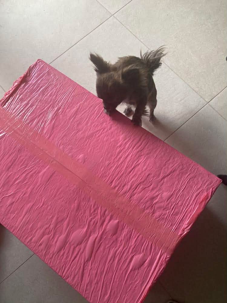 Received 1986415798923273