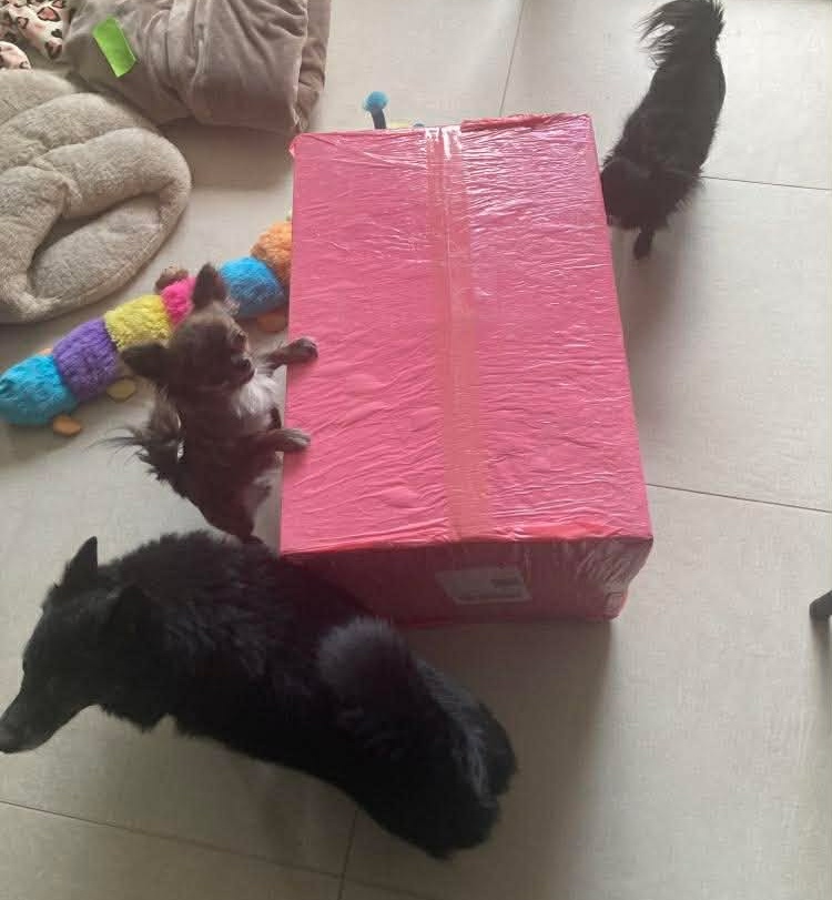 Received 914567727863991 edit 108153965310043