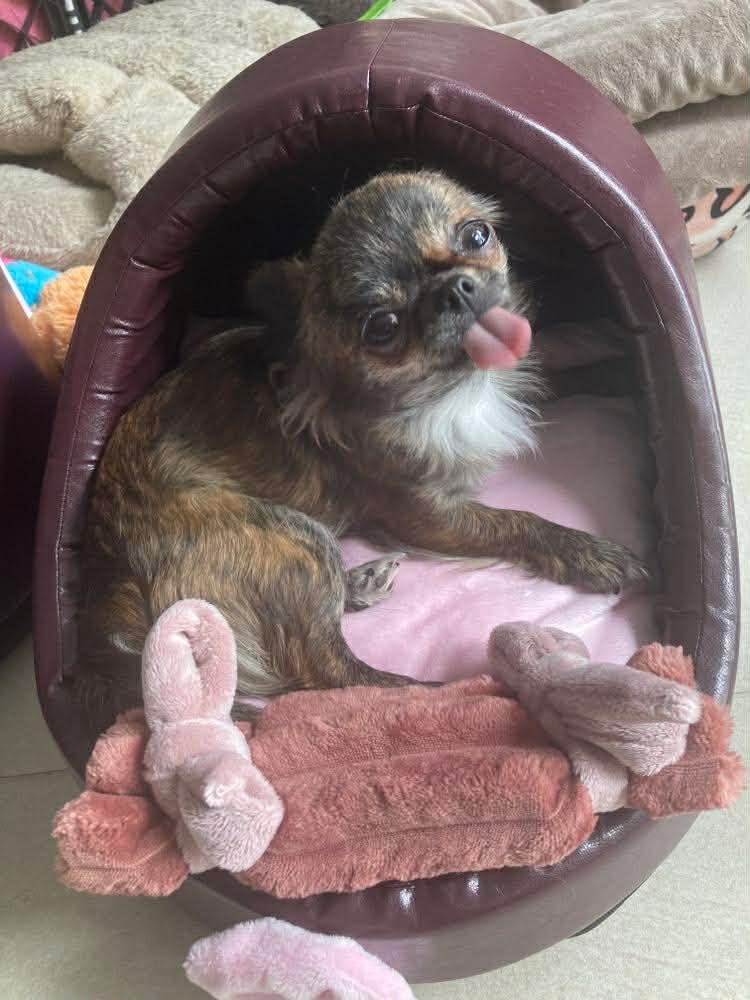 Received 961871982953122