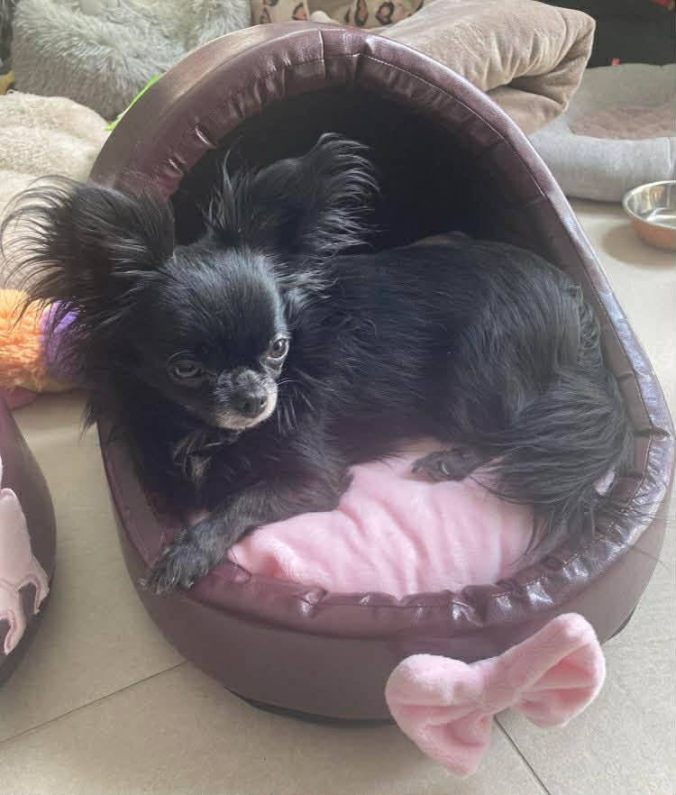 Received 958994419798497