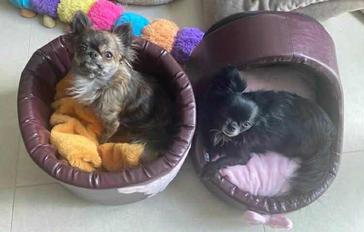 Received 1265687442364796