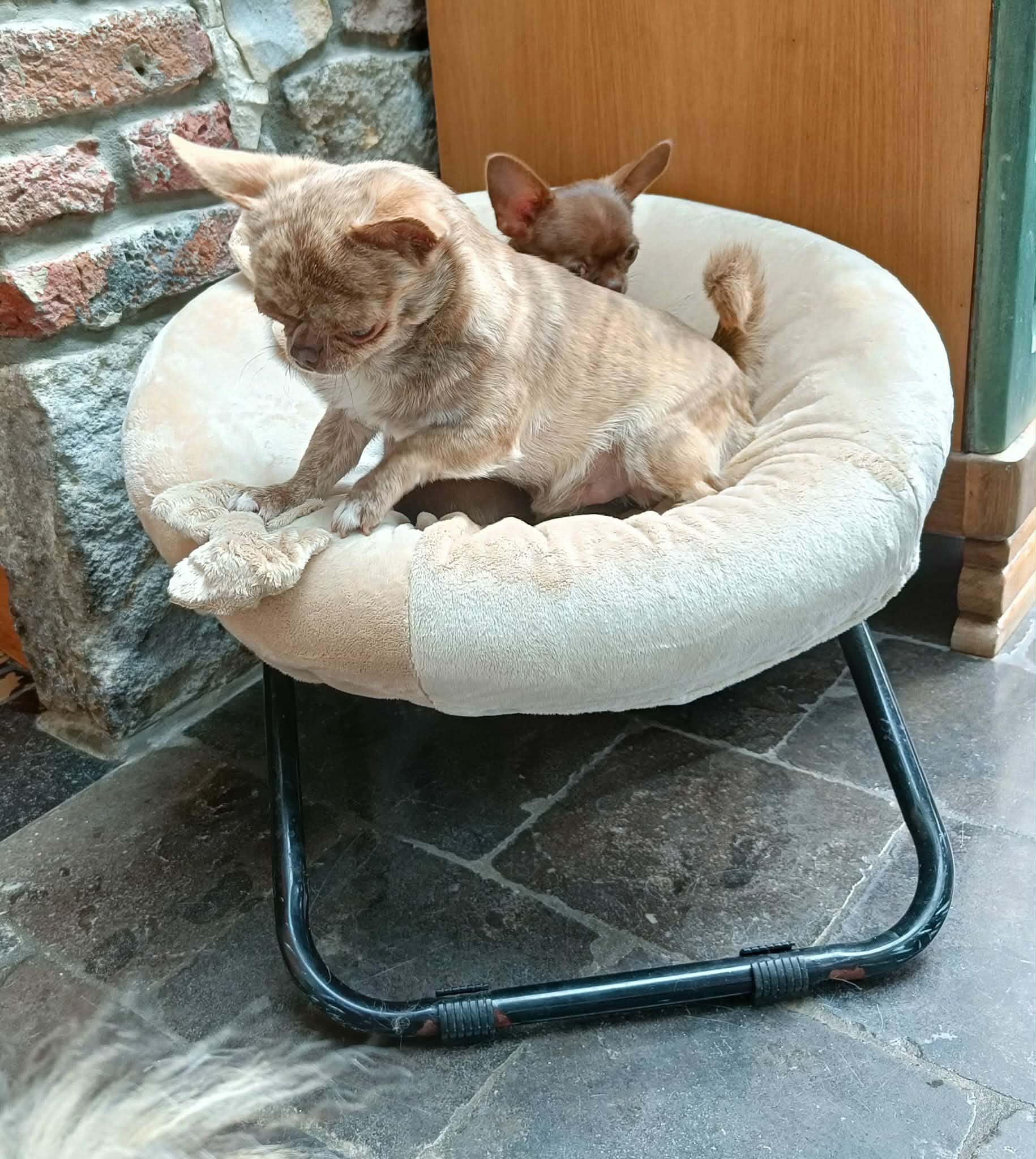 Received 1445321287074182