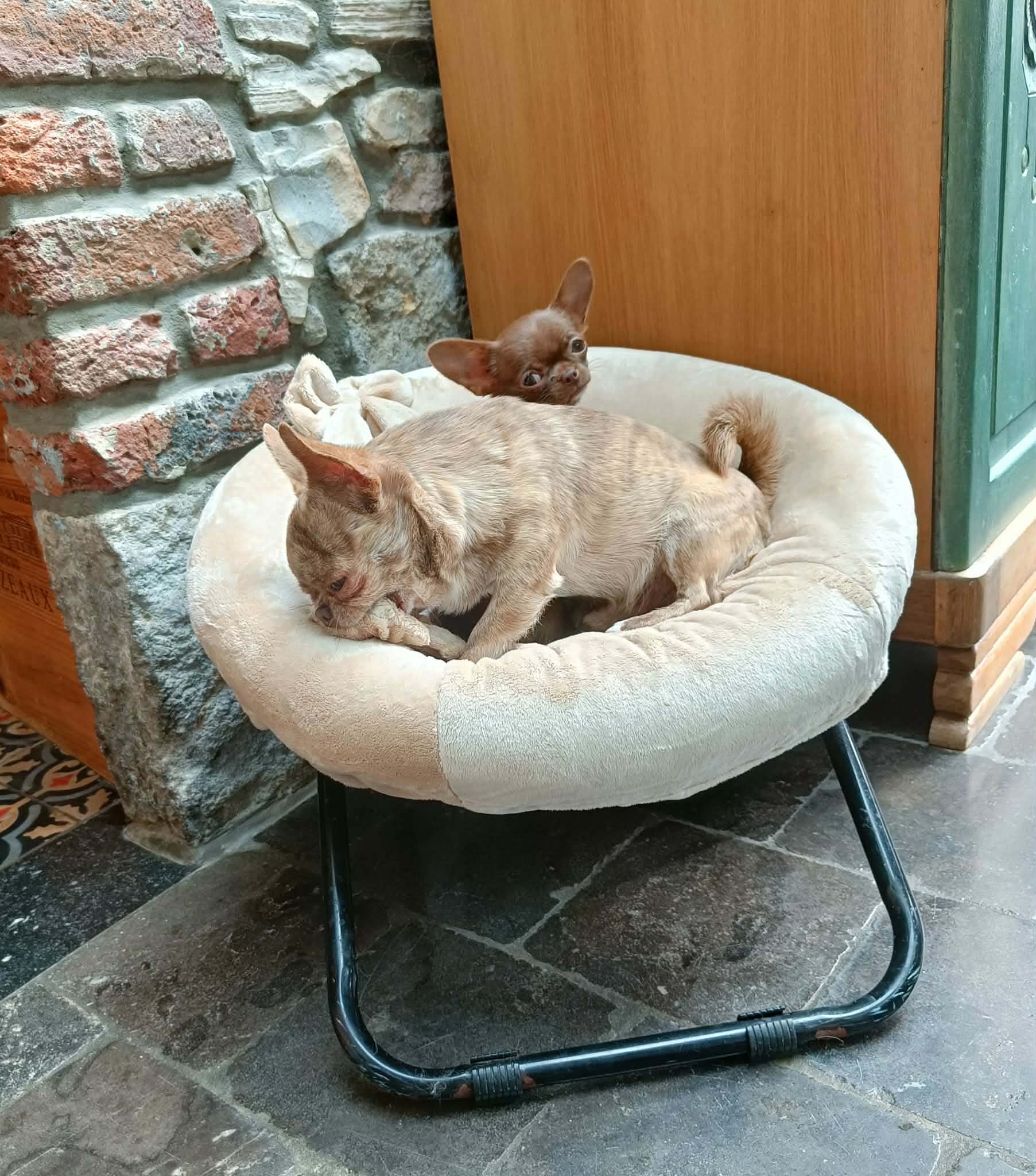 Received 1881754062459466