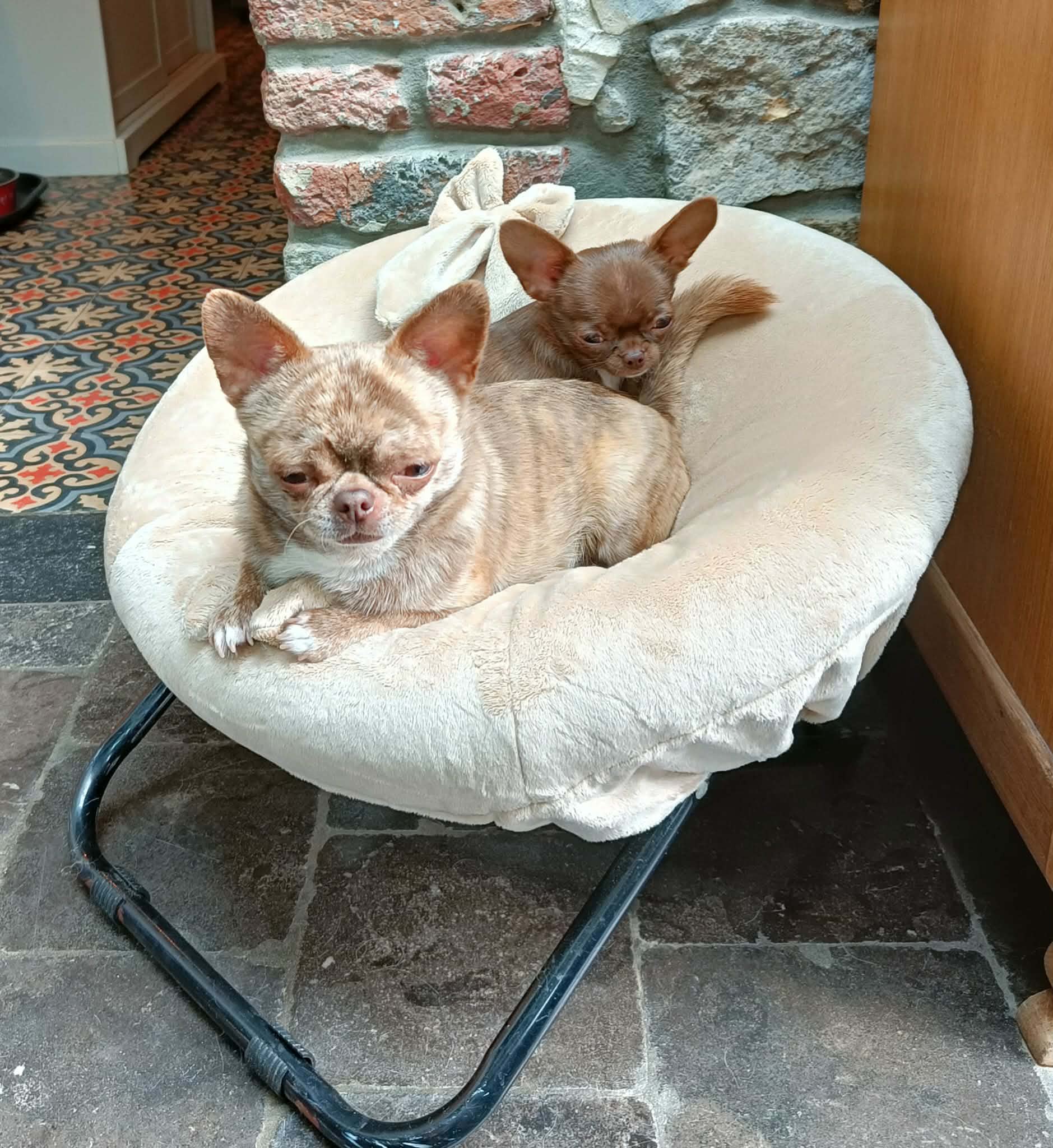 Received 26345703031724978