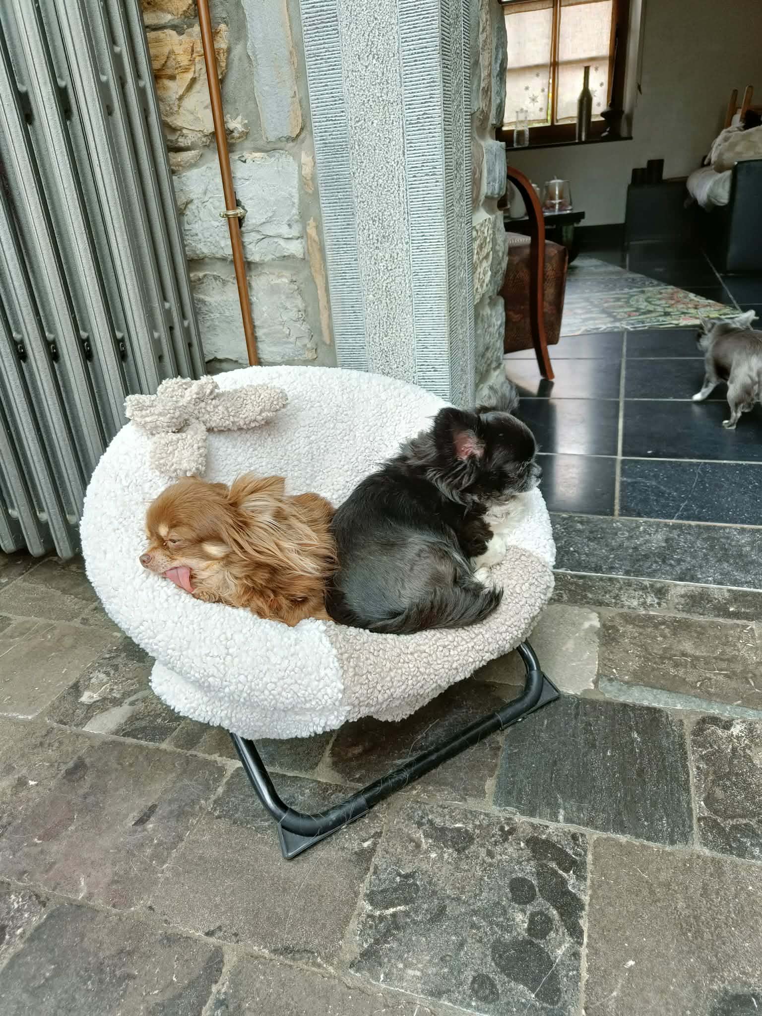 Received 1477002644126678