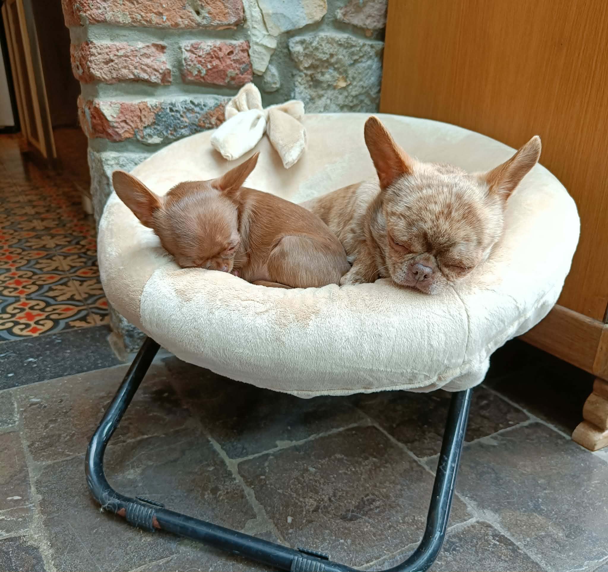 Received 1613846129886460