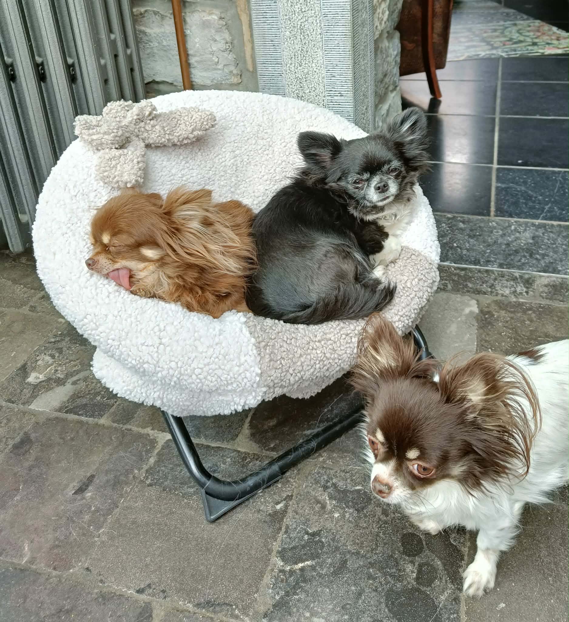 Received 1261908535368719