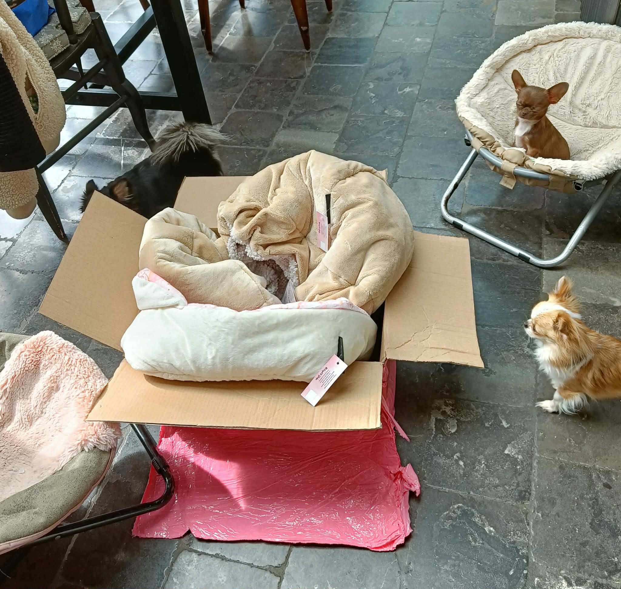 Received 2125827104875081