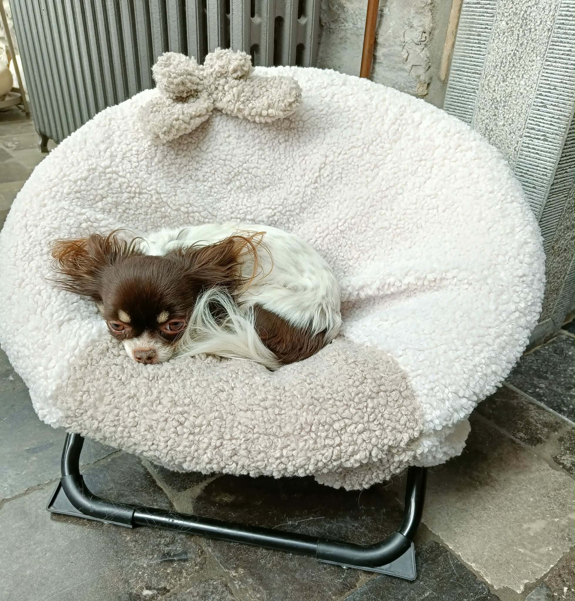 Received 1732738151466619