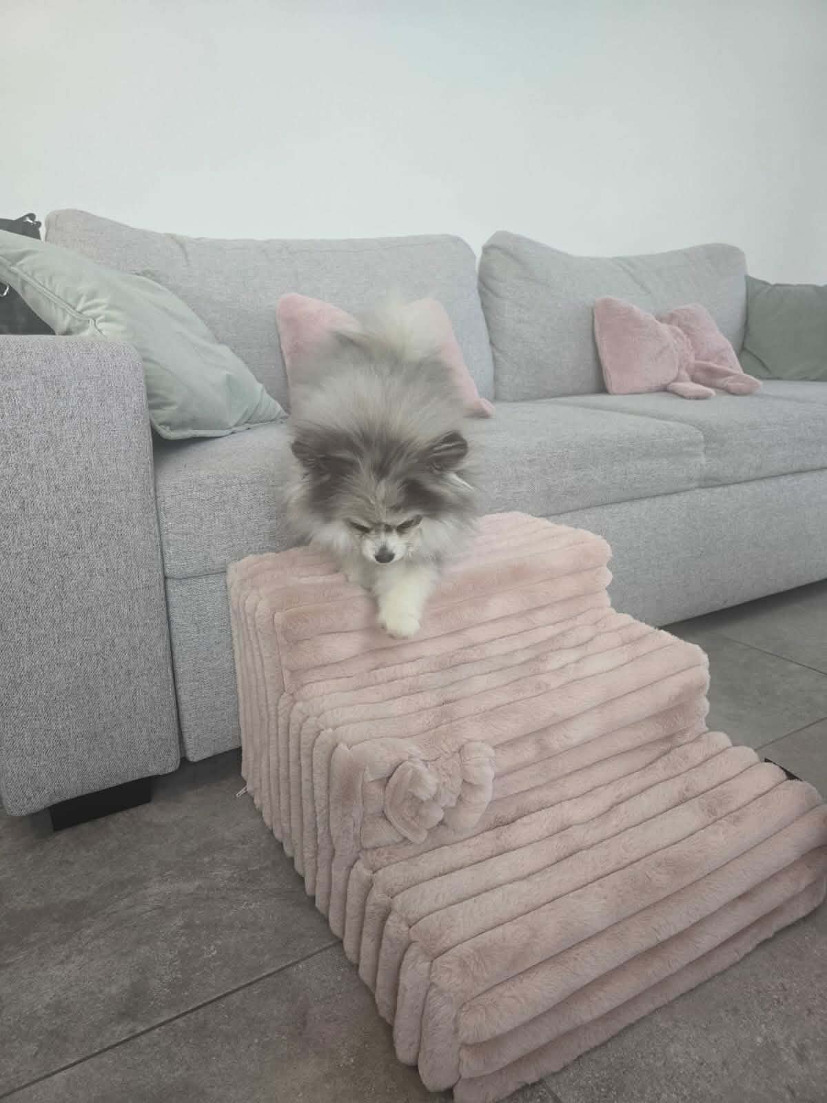 Received 2087560608643887