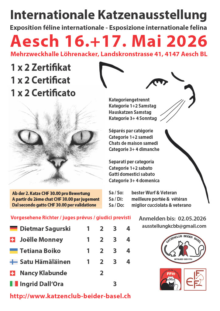 1774930797122-dff6dfae-11d8-4863-9e8f-db07425f6691 1