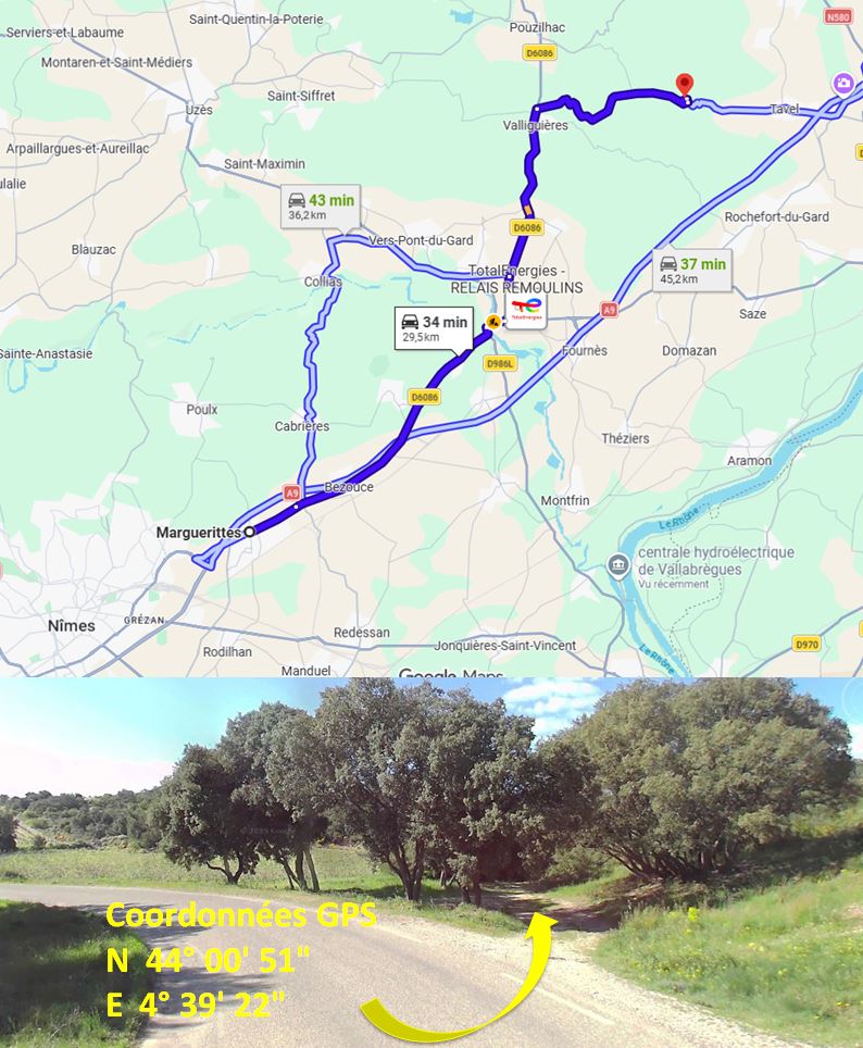 Rdv-sur-place-d4-tavel