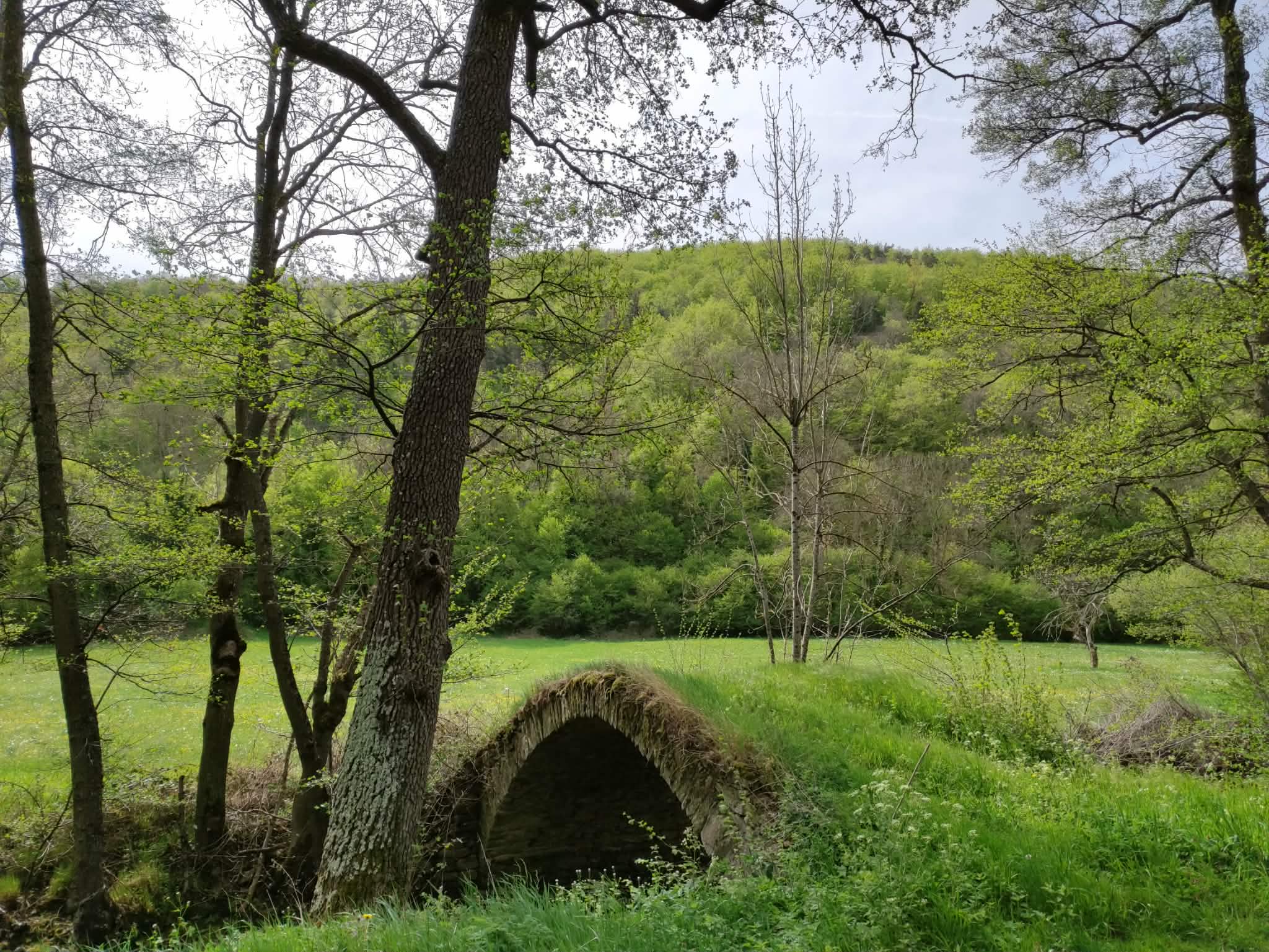 27d0d68b 2f6c 41a2 ad04 ad92c85f87fe