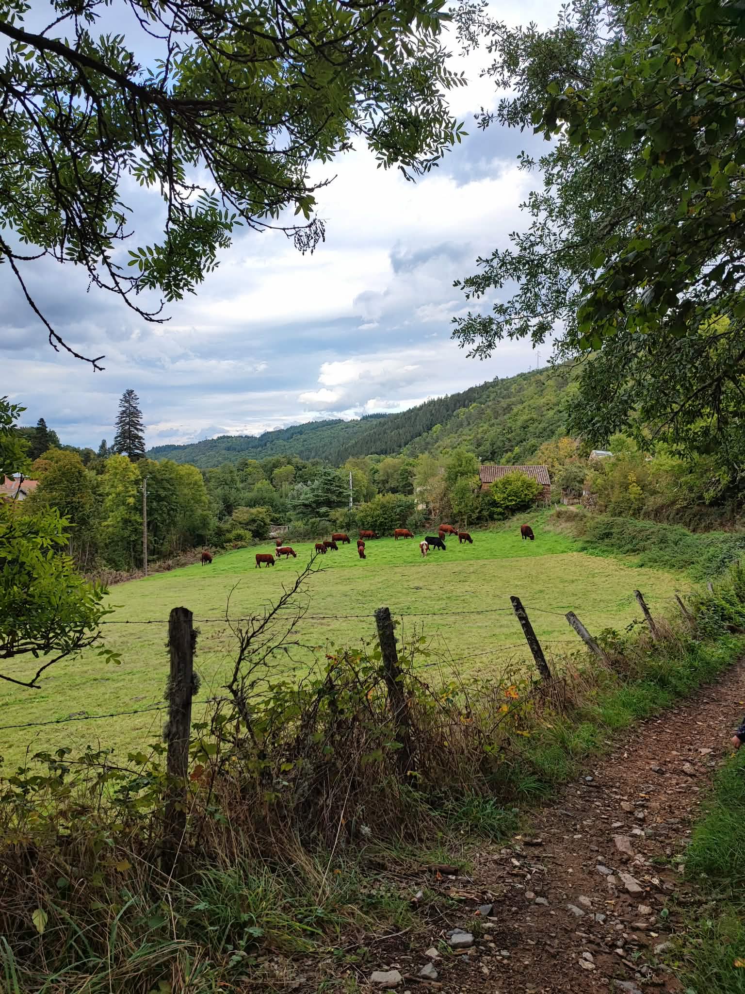 7143ea67 12bd 40c2 8971 d12f4a23eeb7 1 