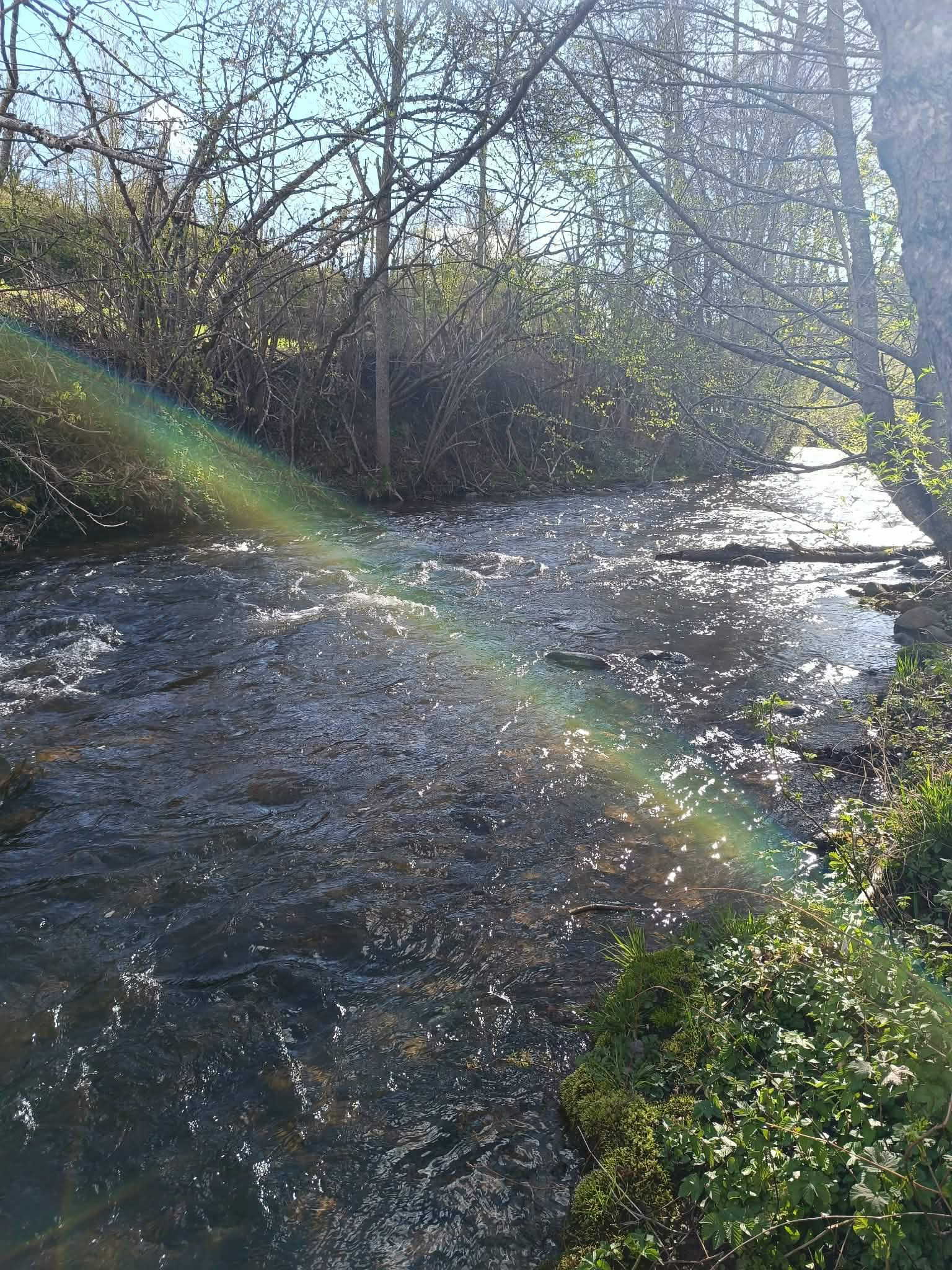 D2b70dde 92a5 41f4 903a 0f8613472e4c