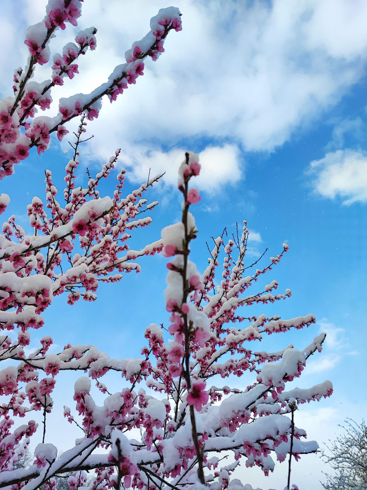 2b8a6db6 28a7 48ba b73a c220e1005239 1 