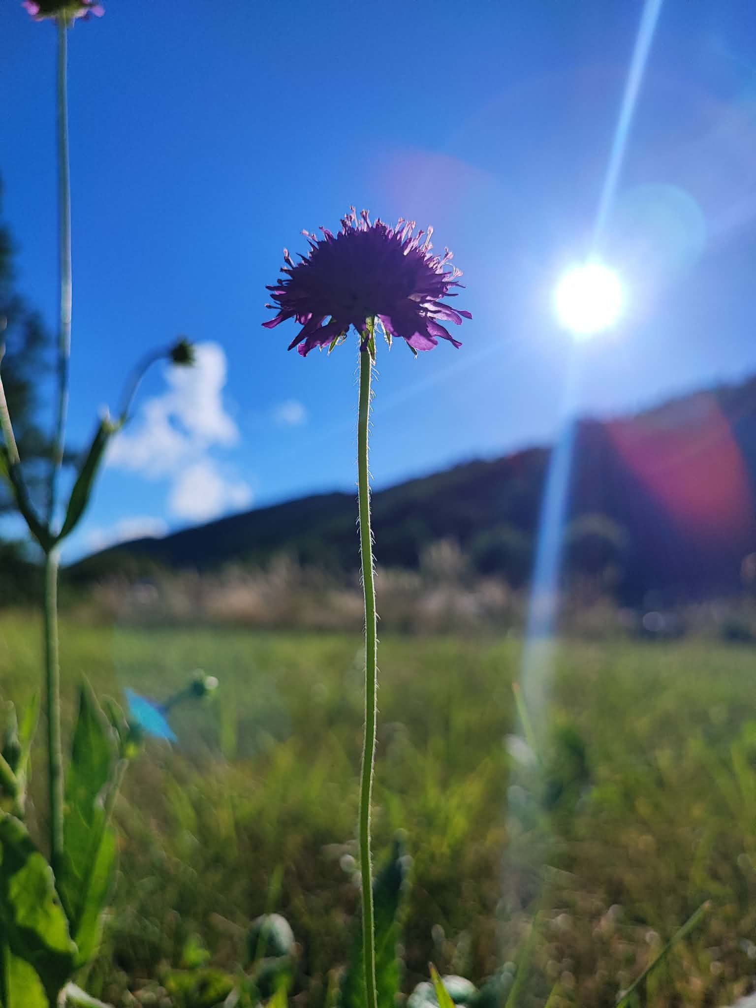 Ed3ac0e8 6817 4328 84f7 10a8a2231d3f