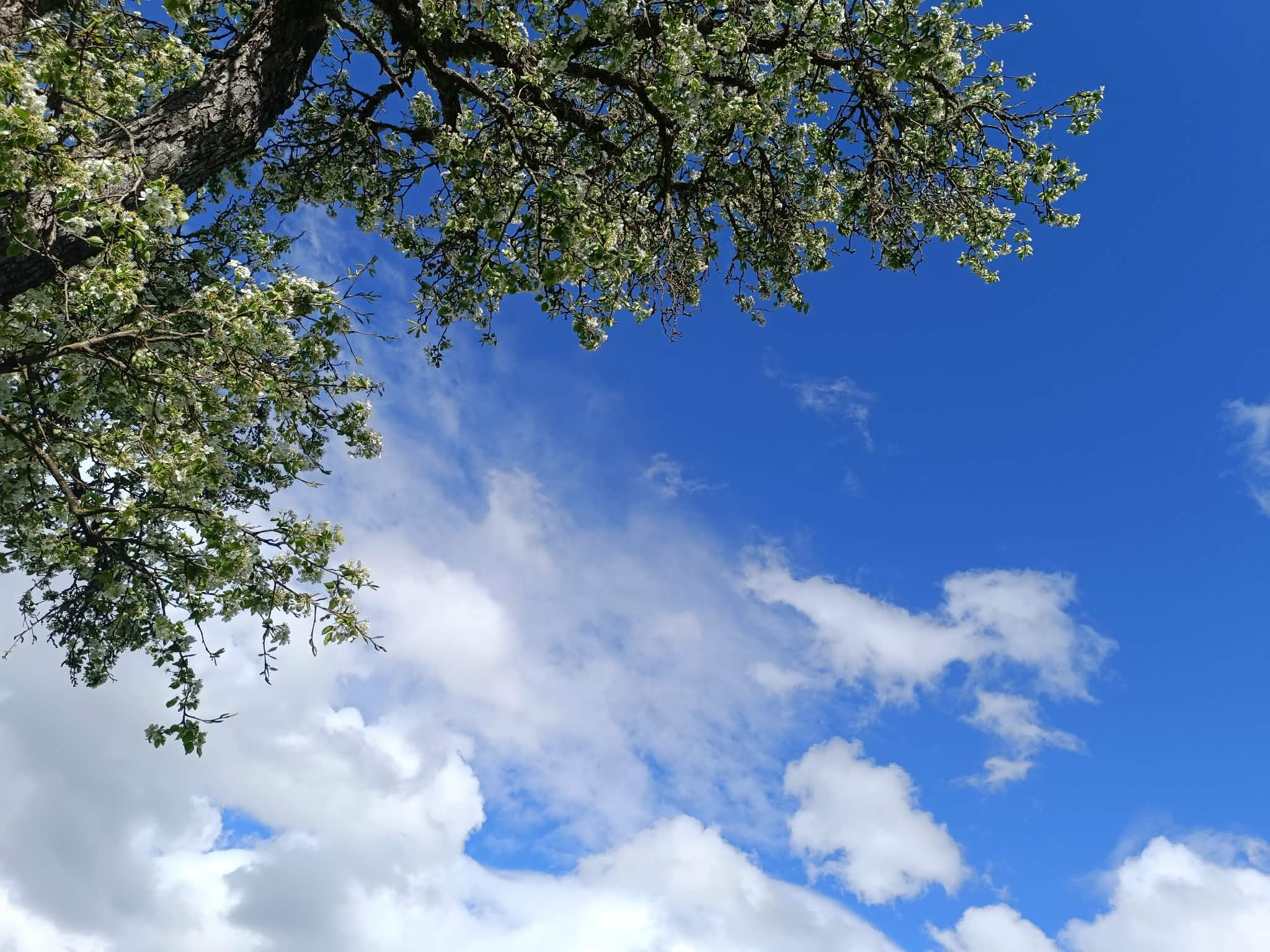 71ca6556 1fb4 4eb7 94ae aaf589bed168