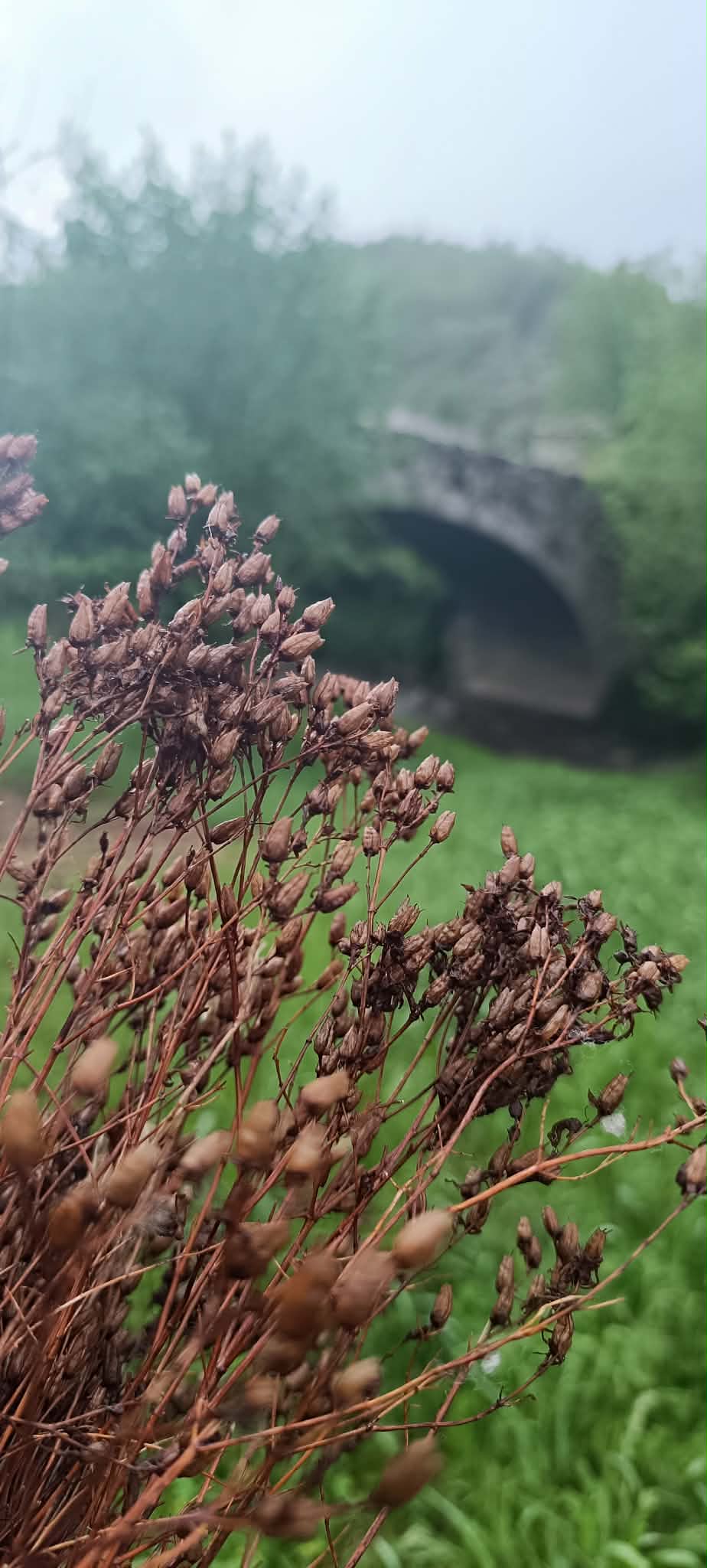 D3c4f6c1 52db 4b7d 9a2b a353b23e1dde