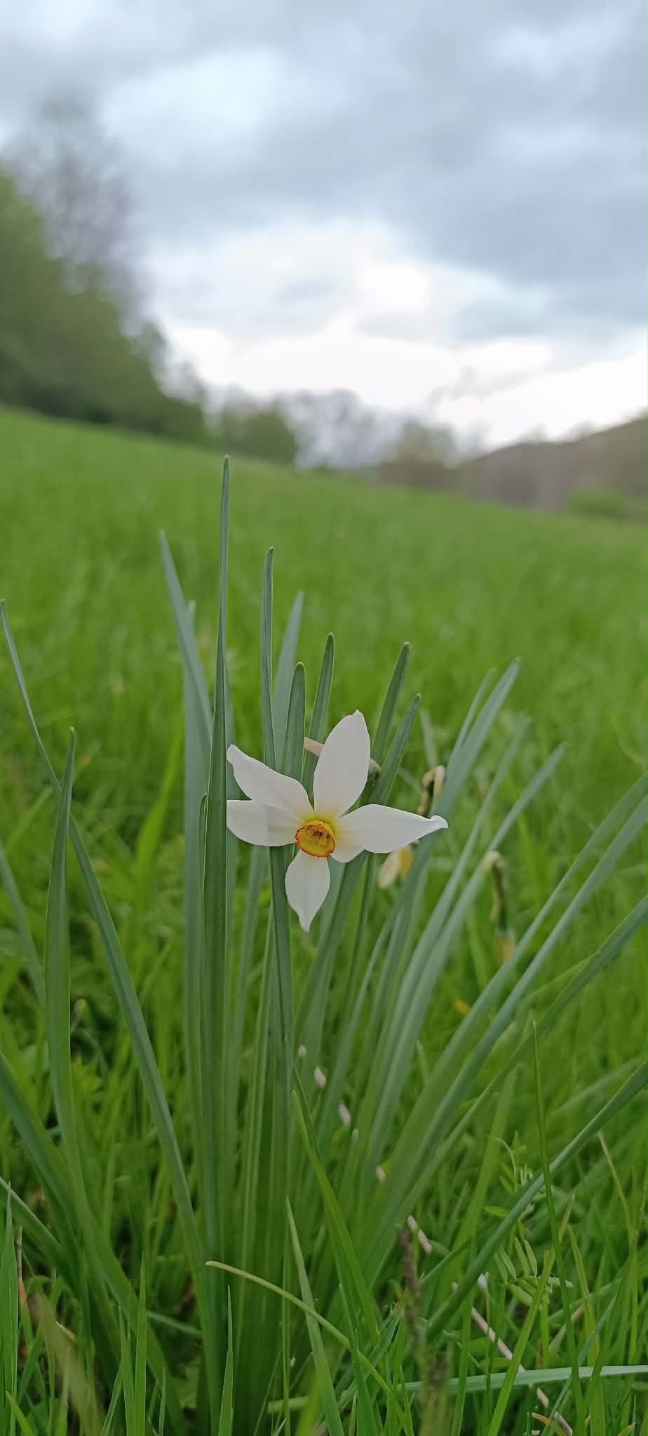 981c732e c42e 40f8 9c63 f12d6051332c