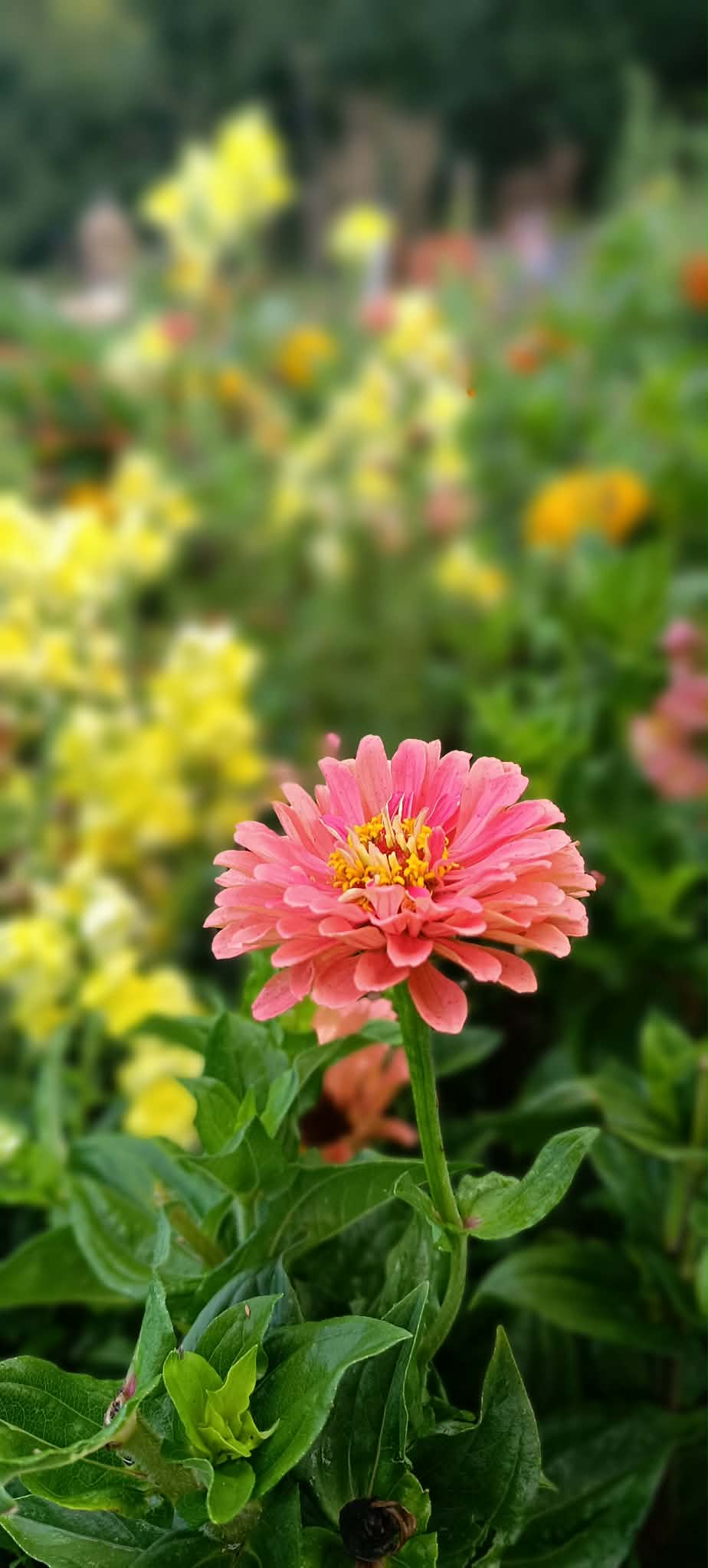 8e33c930 7df8 49f1 9fcd 861c8adcc7b6