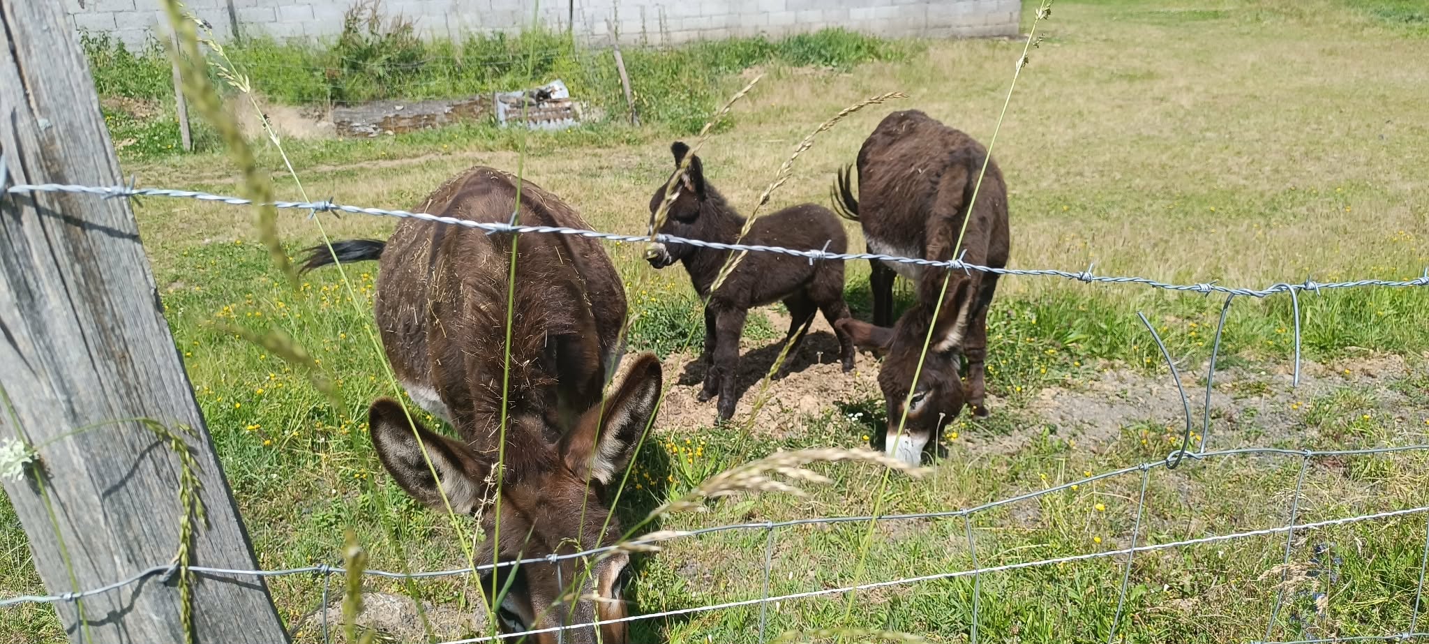 358050d1 6d75 4560 9983 93a9daf160b6 1 