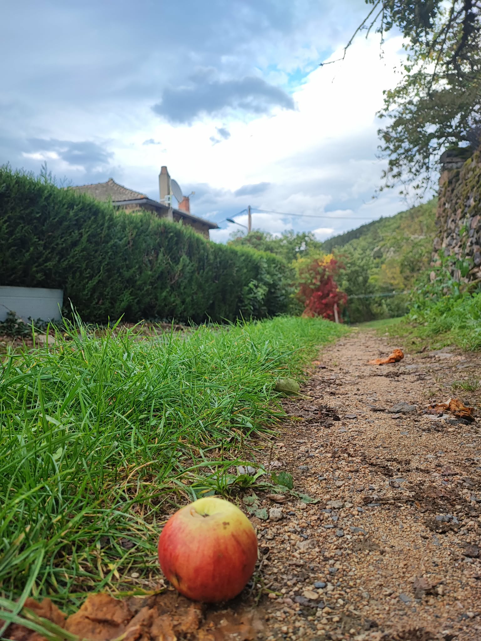 Ce66826b b9e6 446e 9ae7 833d36ae8b77 1 