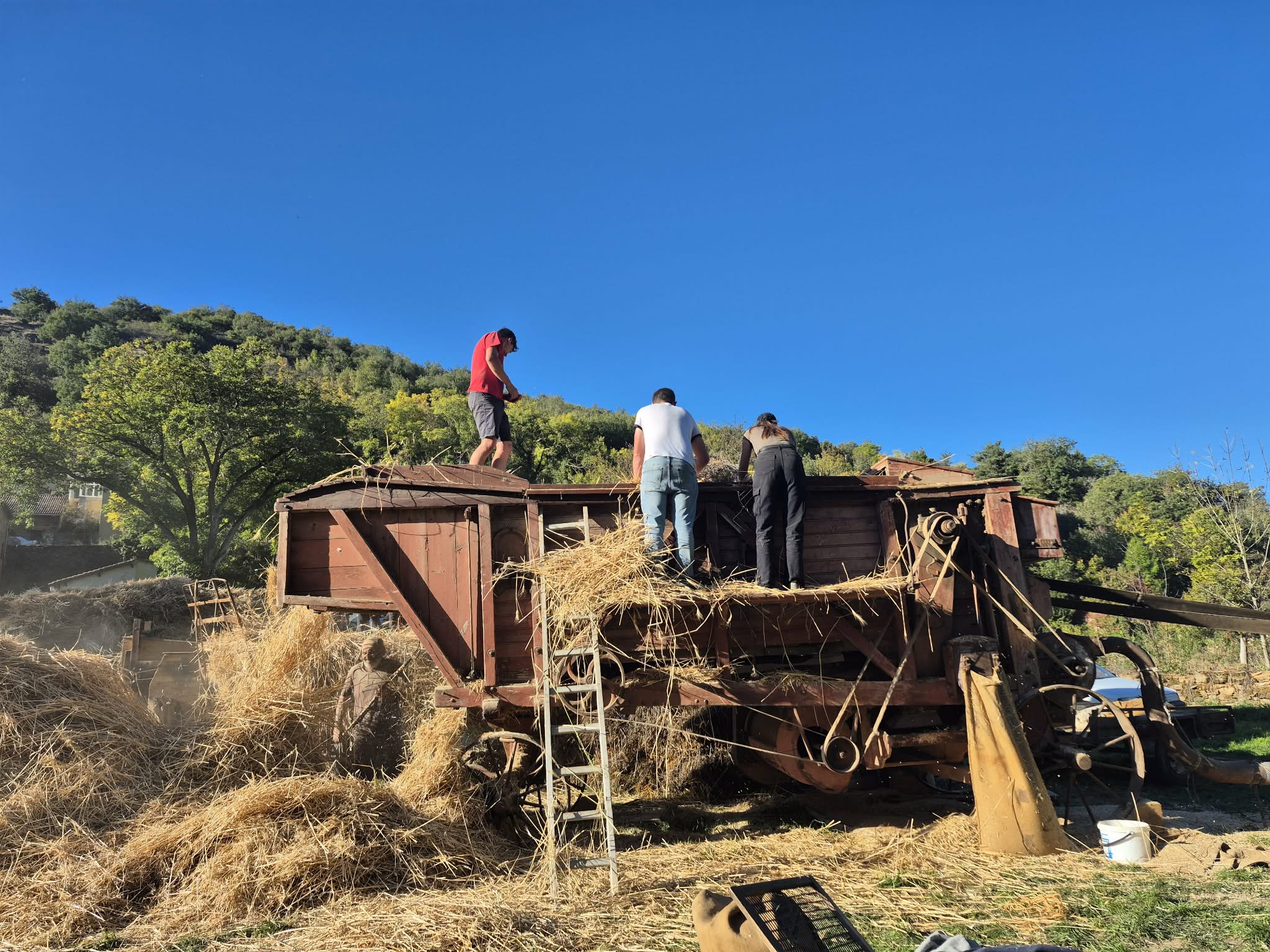 Cc191f00 cf0b 4d55 bf38 86021bc2c6e2