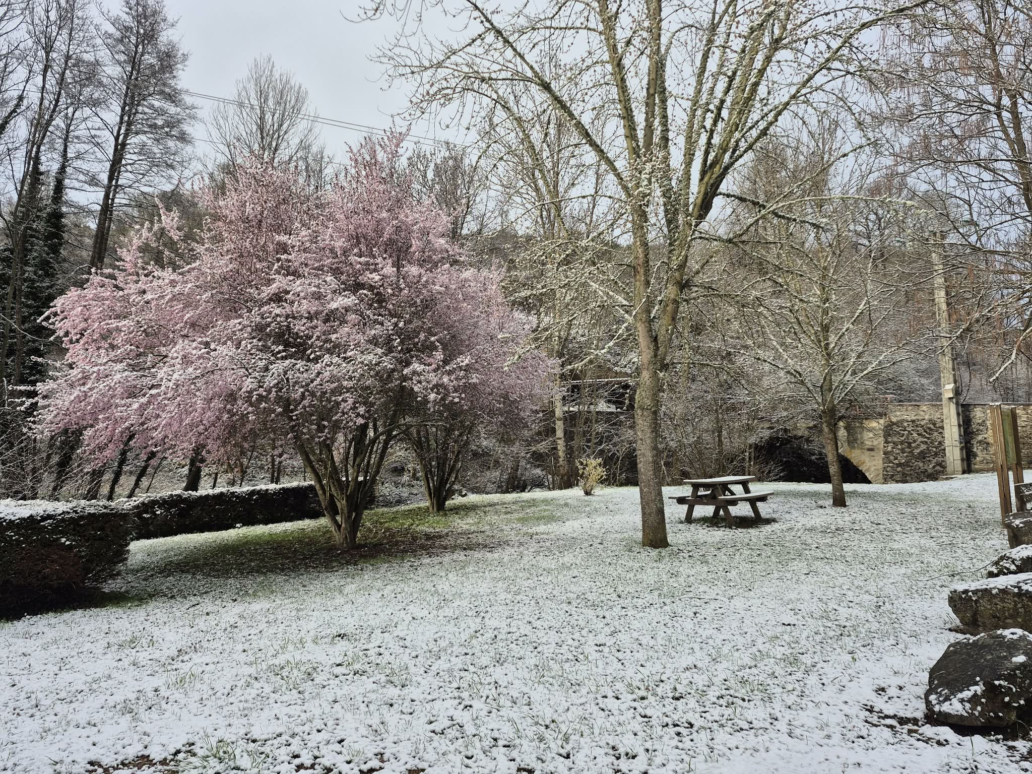 8988f7e3 e9a2 4397 9411 97bd05de008e