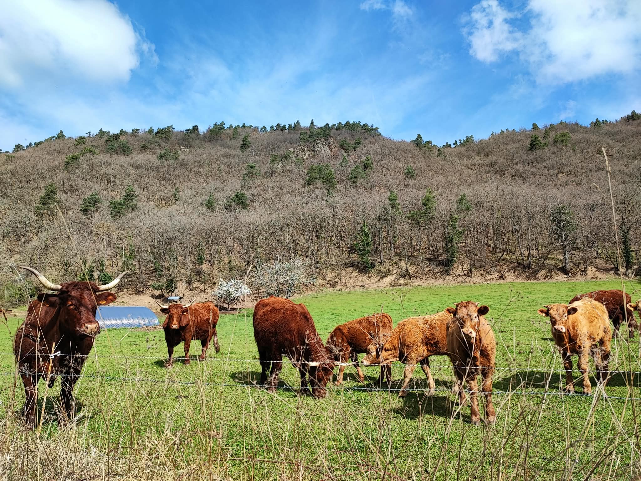 4d984a21 2d7c 431c 98c4 a1b36bb65635