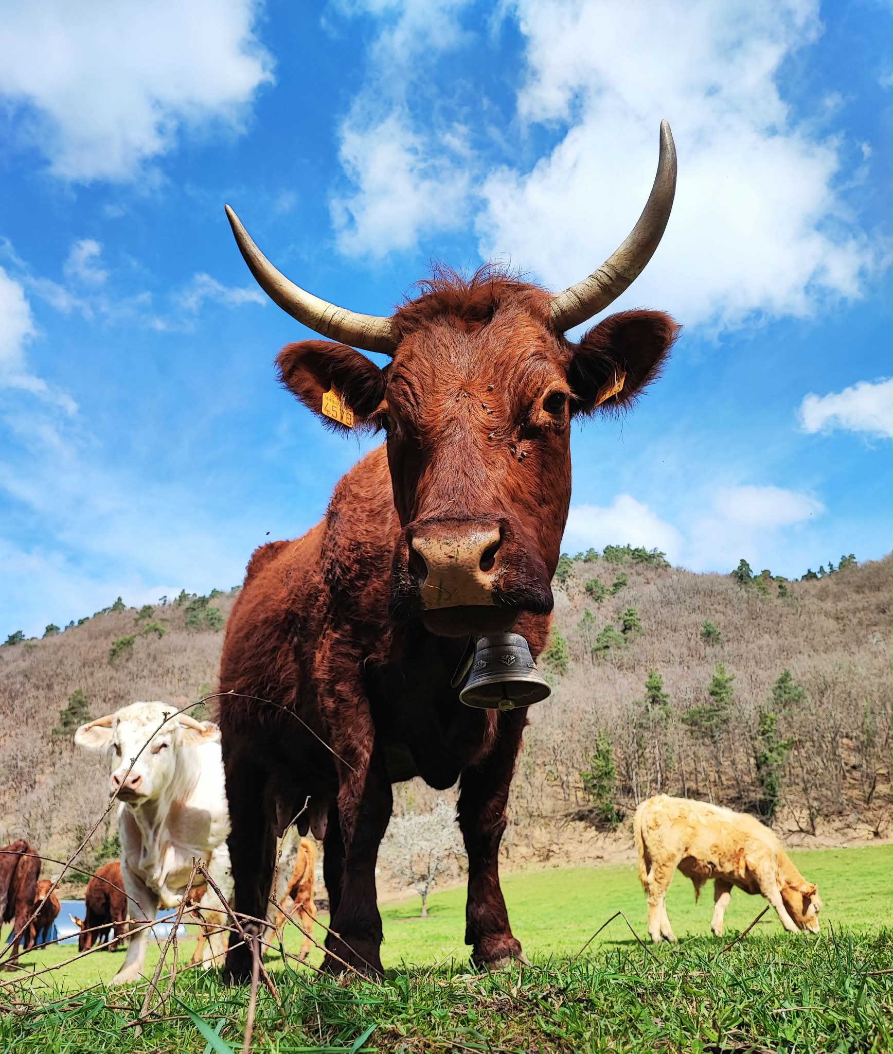 54f85f91 163e 4f0a b630 d286023998f3