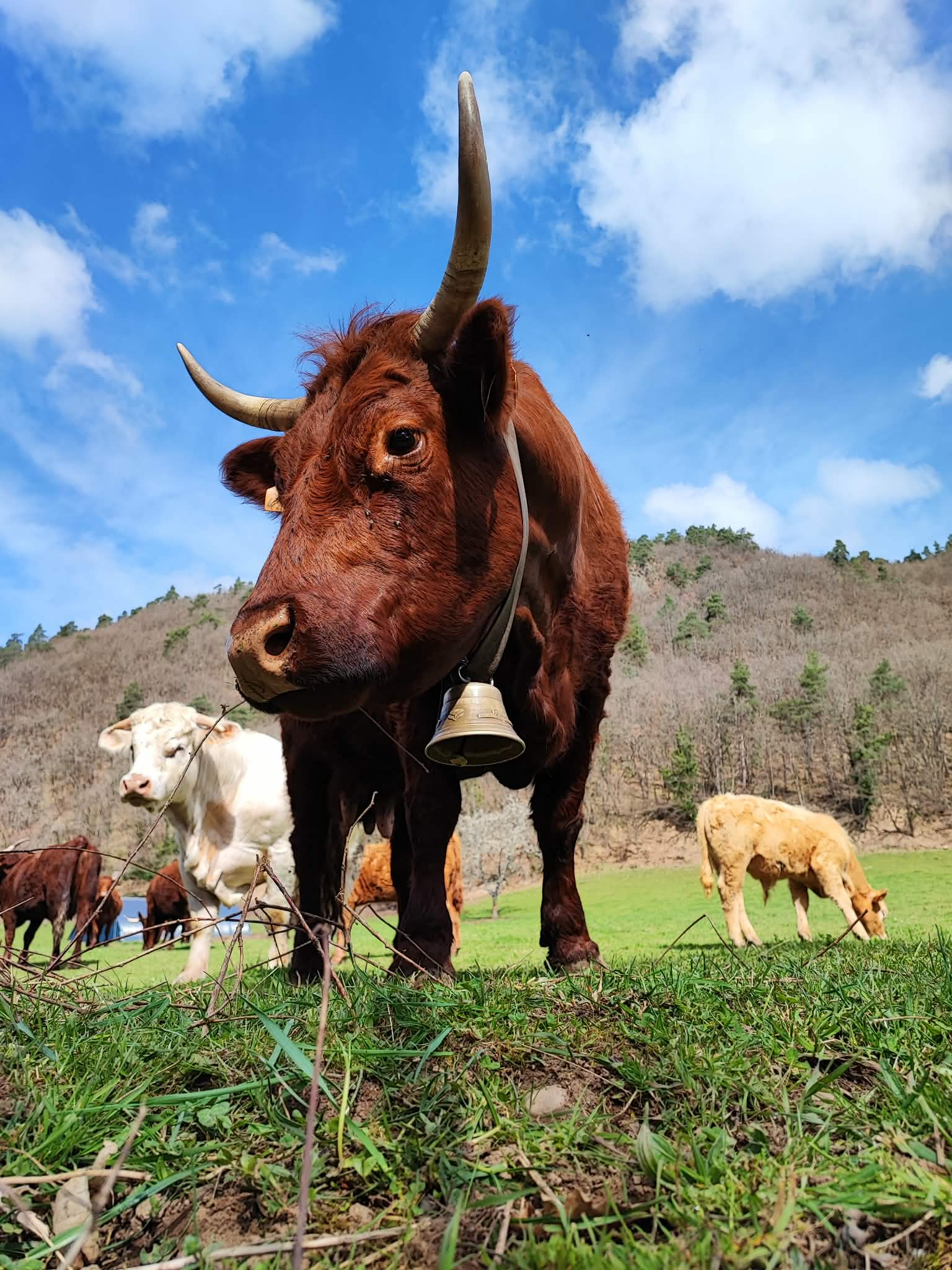 A8fd6188 8df9 4750 ad5e 49911bc5c179