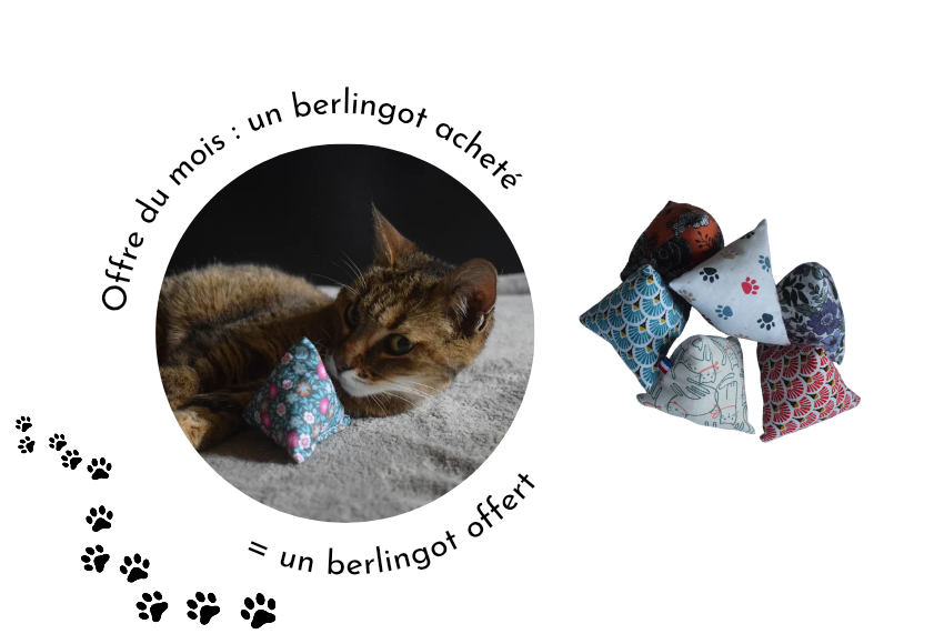 Cream-and-Brown-Photographic-Beauty-Site-Launch-Website-850-x-580-px- 20260316 105757 0003