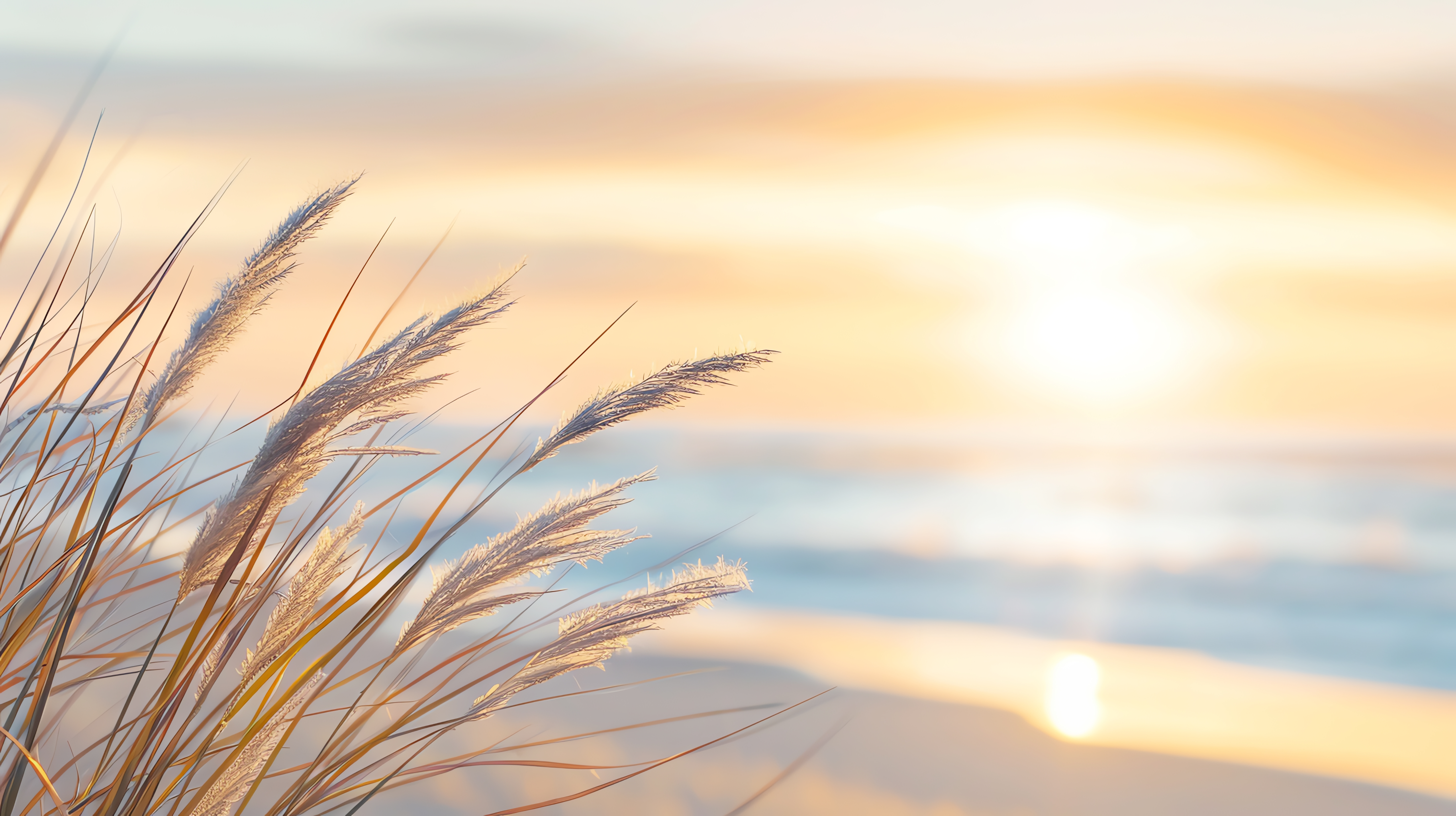 Votre Espace Santé 3000 à Biganos vous accompagne dans les étapes difficiles de votre vie, que ce soit psychologiquement ou physiquement. 
