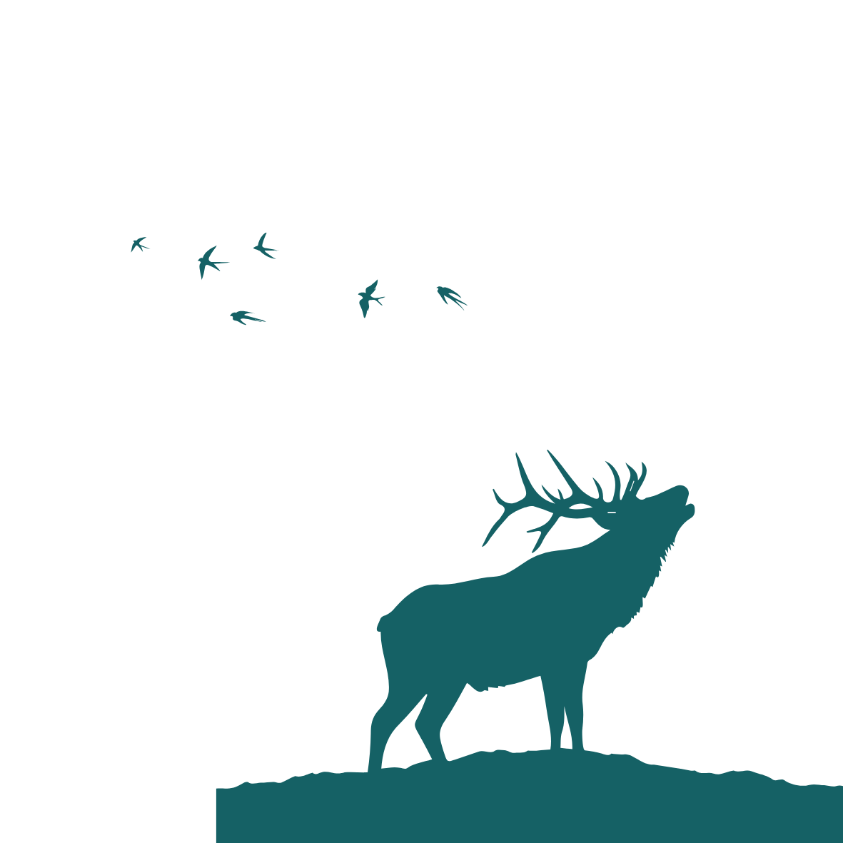 Design-sans-titre-2-