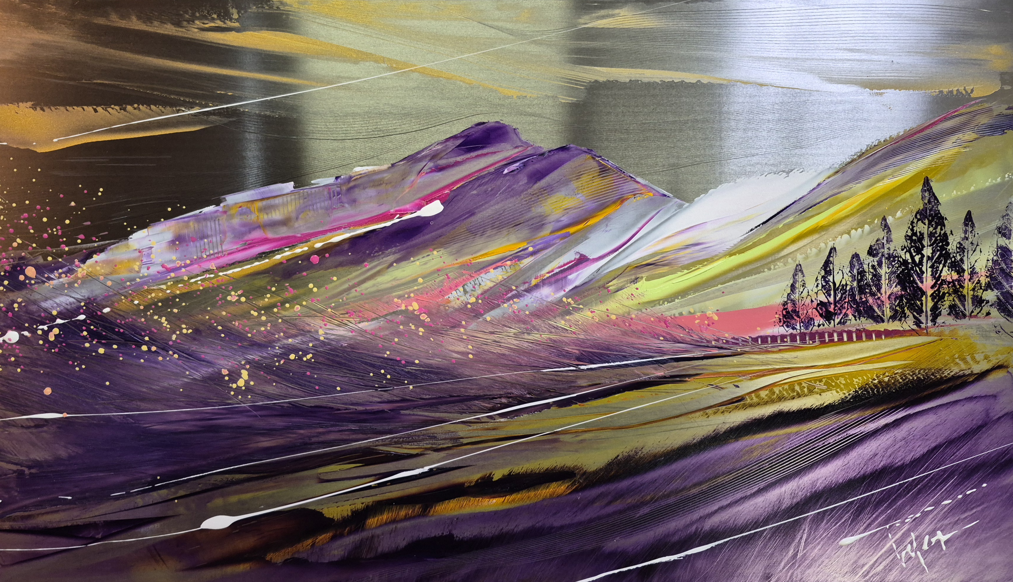 Plaisir du sud 2026 metal 40x70