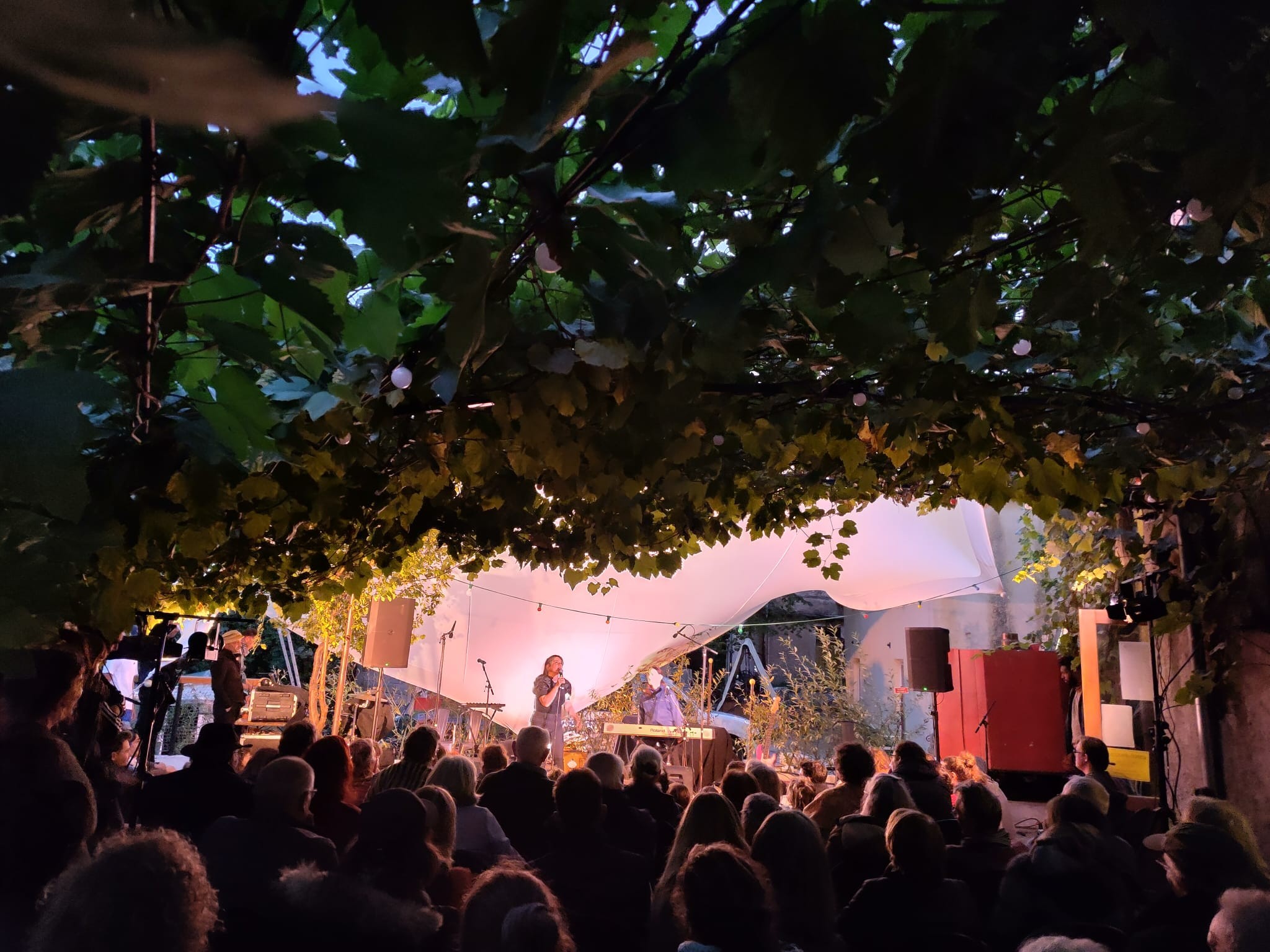 558192940 1118204910381224 2761422421572504755 n