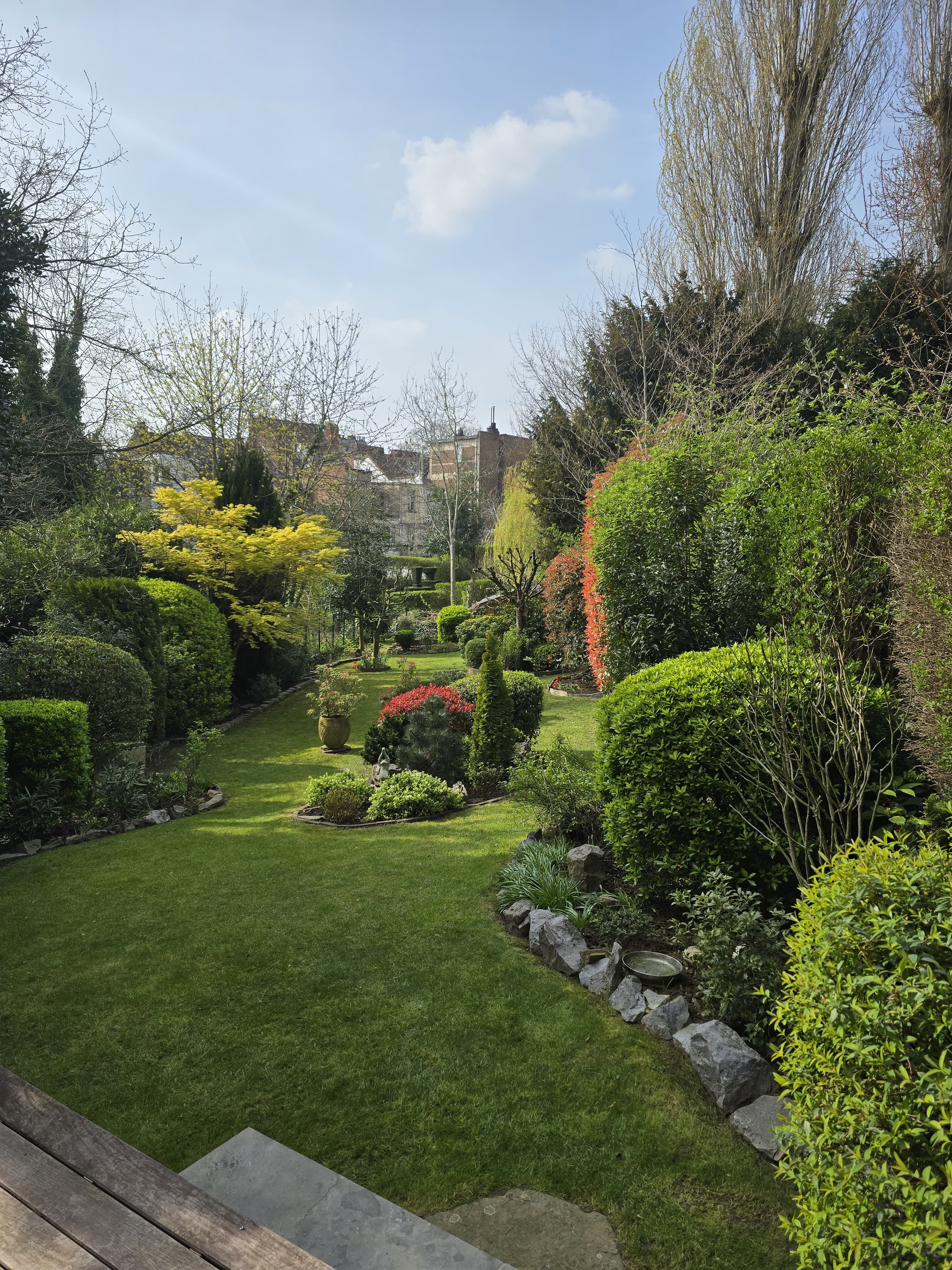 jardin, fleurs, arbres, buissons 