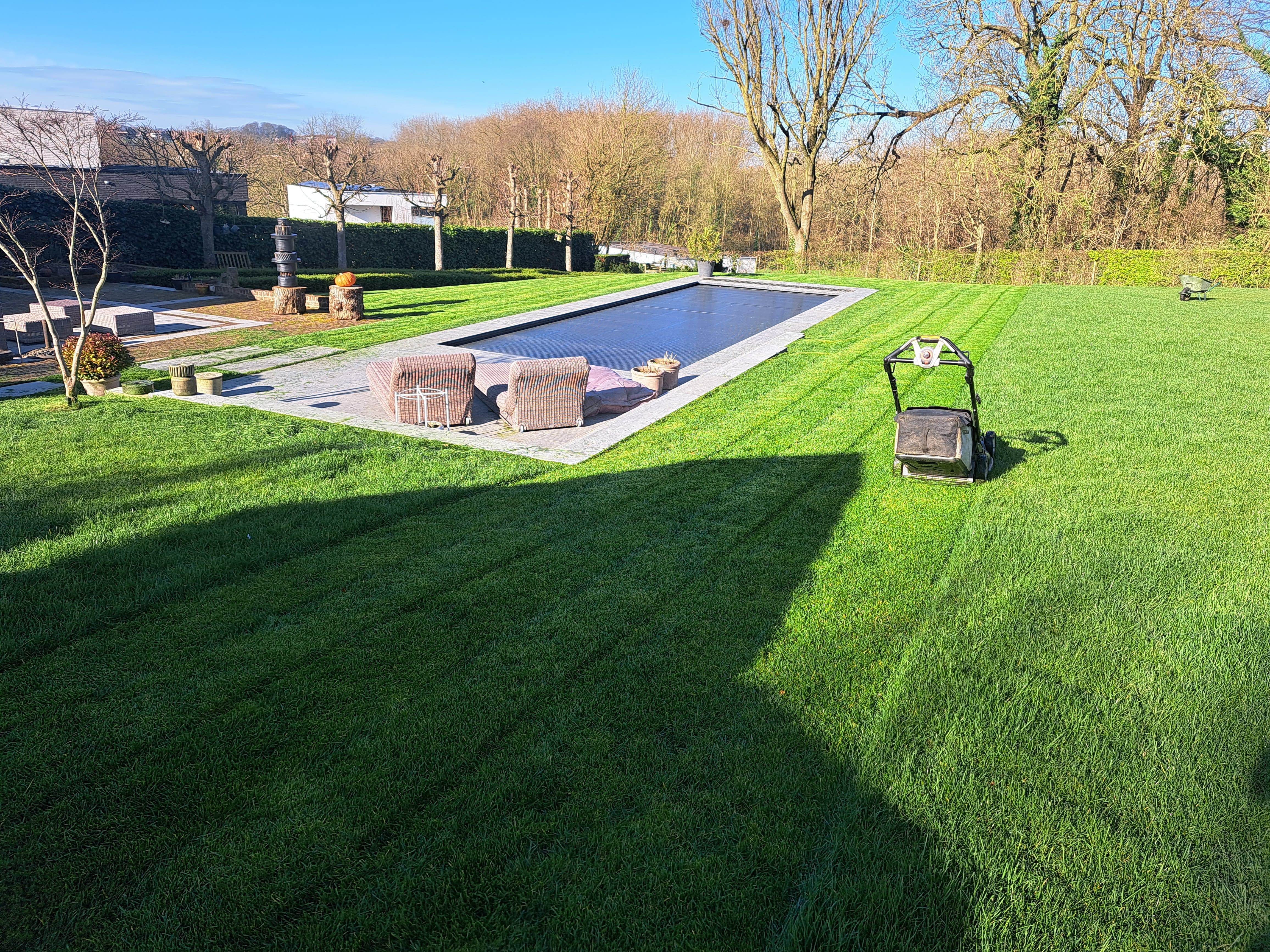 pelouse, gazon, tondeuse, jardin