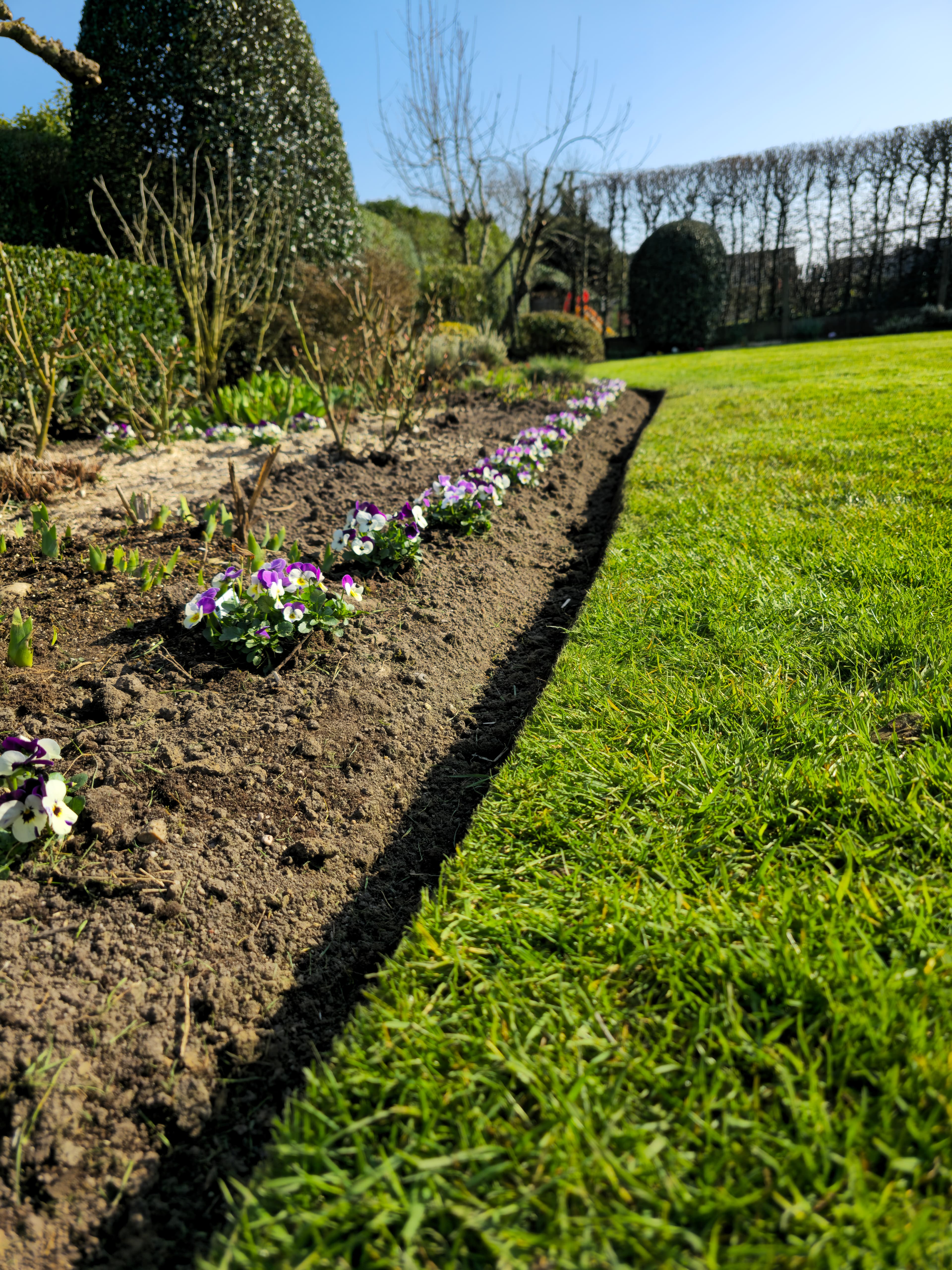 terre, parterre, fleurs, entretien 
