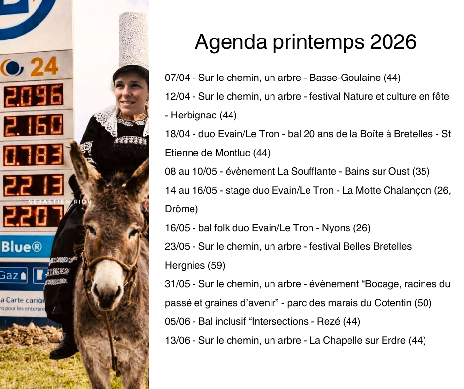 Actualités Marion Evain musicienne accordéon diatonique