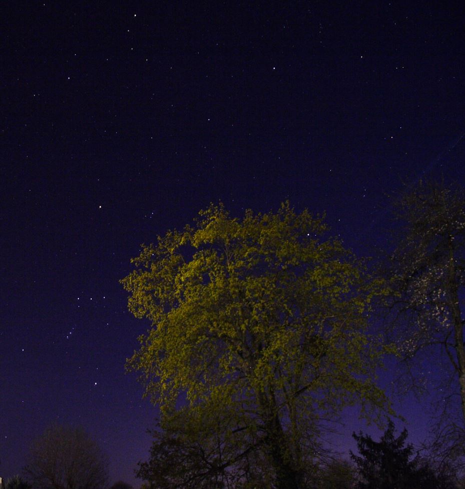Constellations-Orion