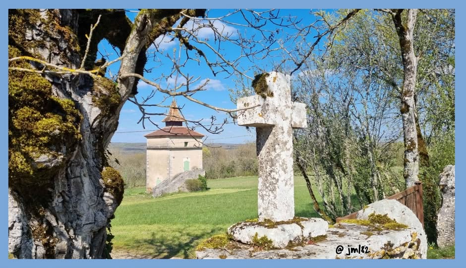 506105676 3150827308427442 6859356845441852403 n