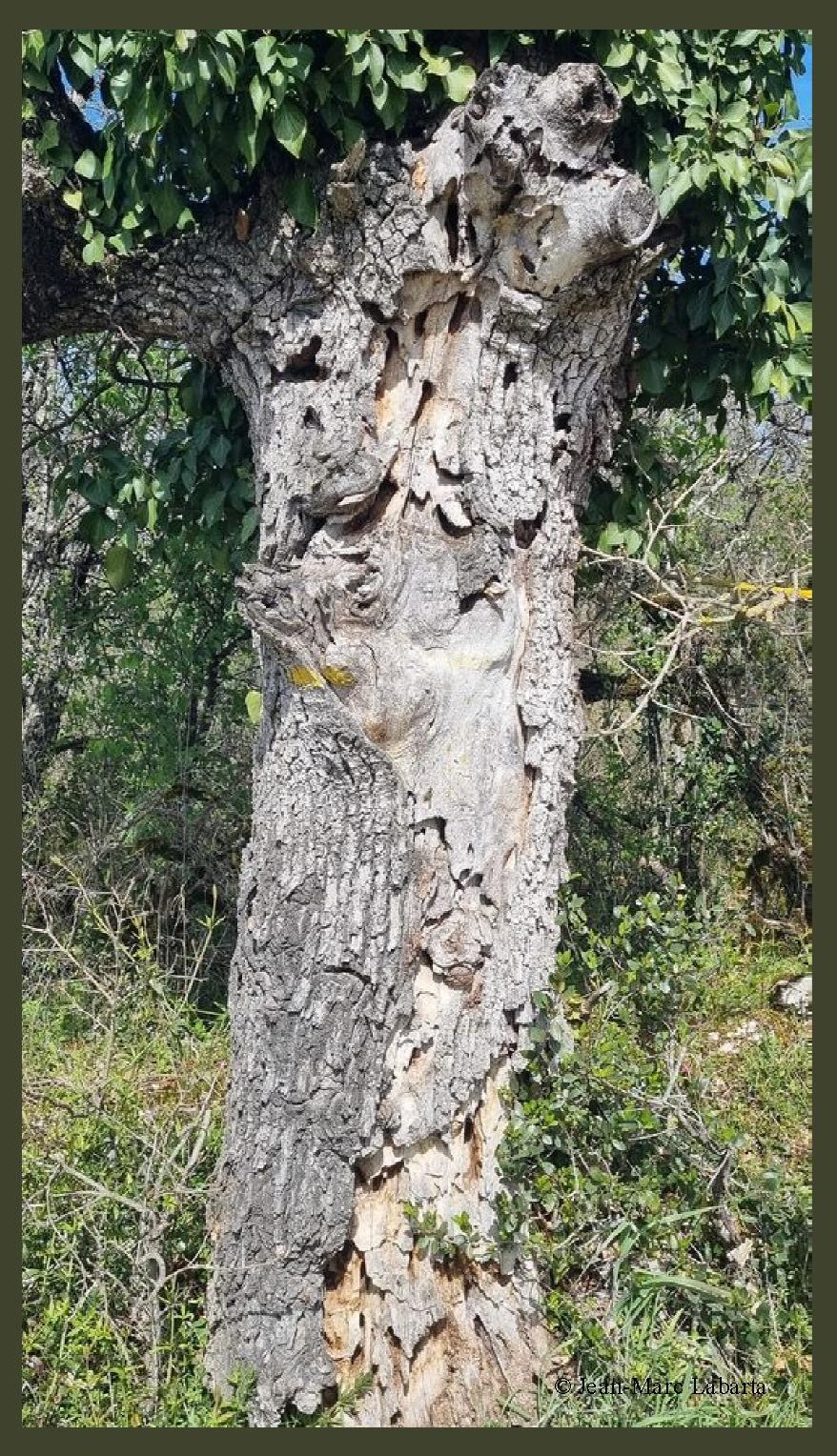 488683330 3076281432548697 7561255848680824339 n