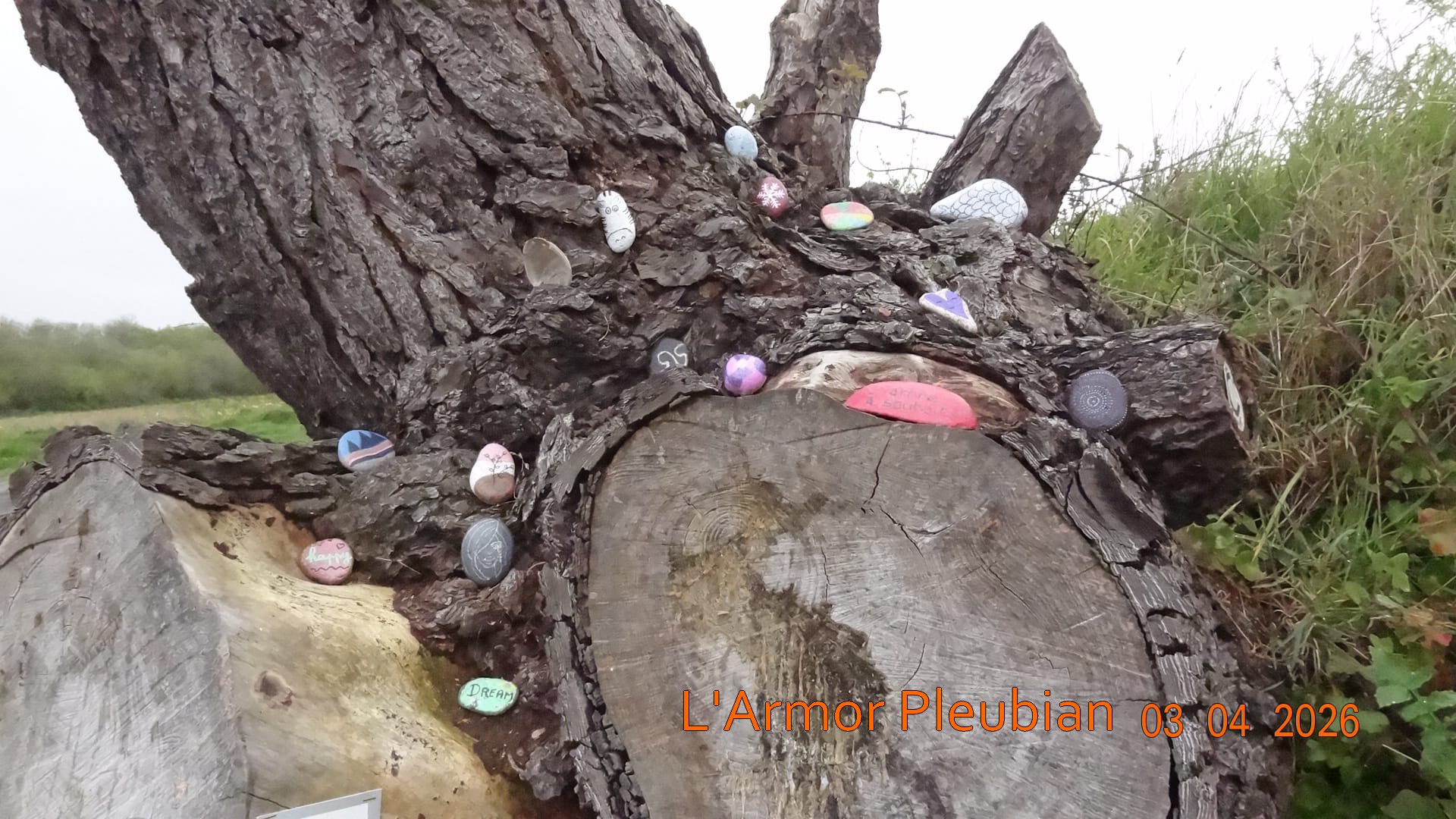 2026 04 03 larmor pleubian 1 